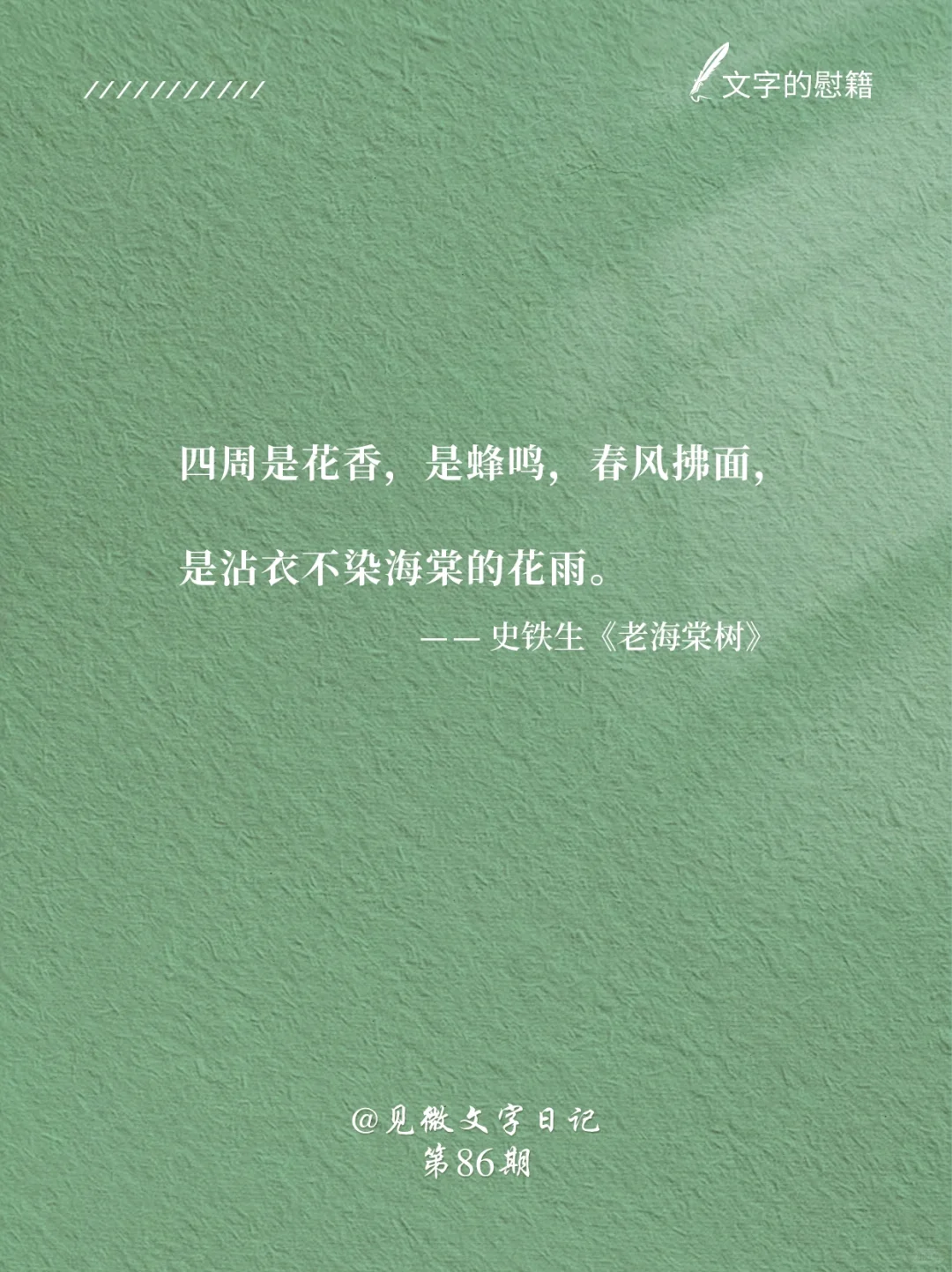 《老海棠树》｜还记得史铁生这篇小学课文吗❓