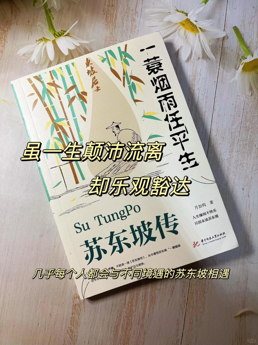 《苏东坡传——一蓑烟雨任平生》