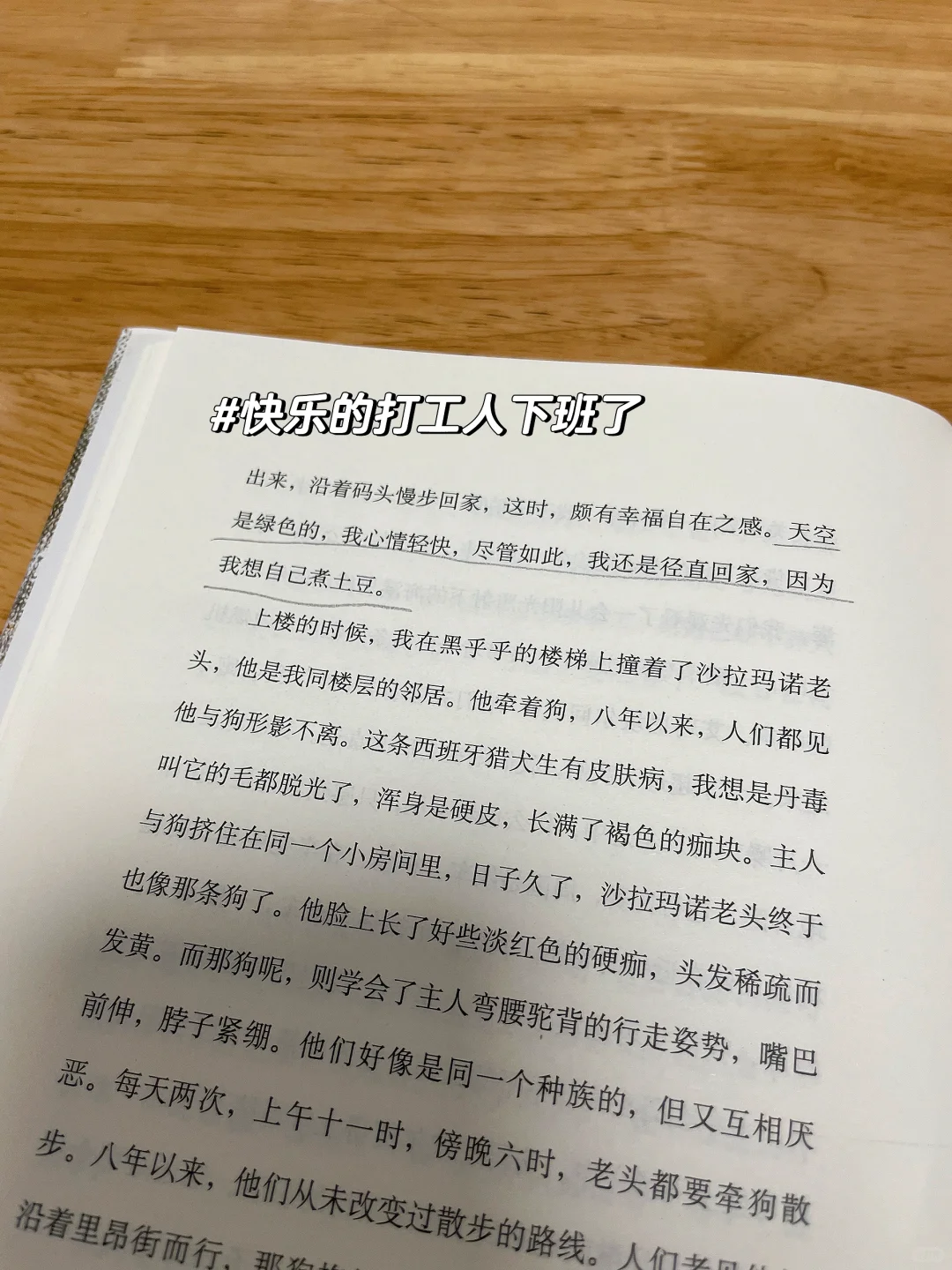 他太会写了😭开篇即巅峰！！！