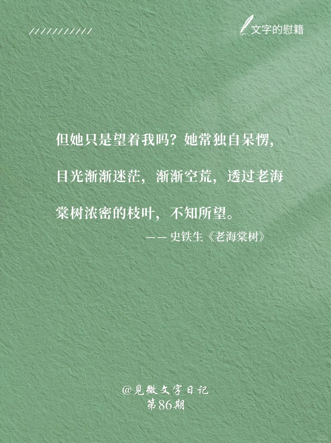 《老海棠树》｜还记得史铁生这篇小学课文吗❓