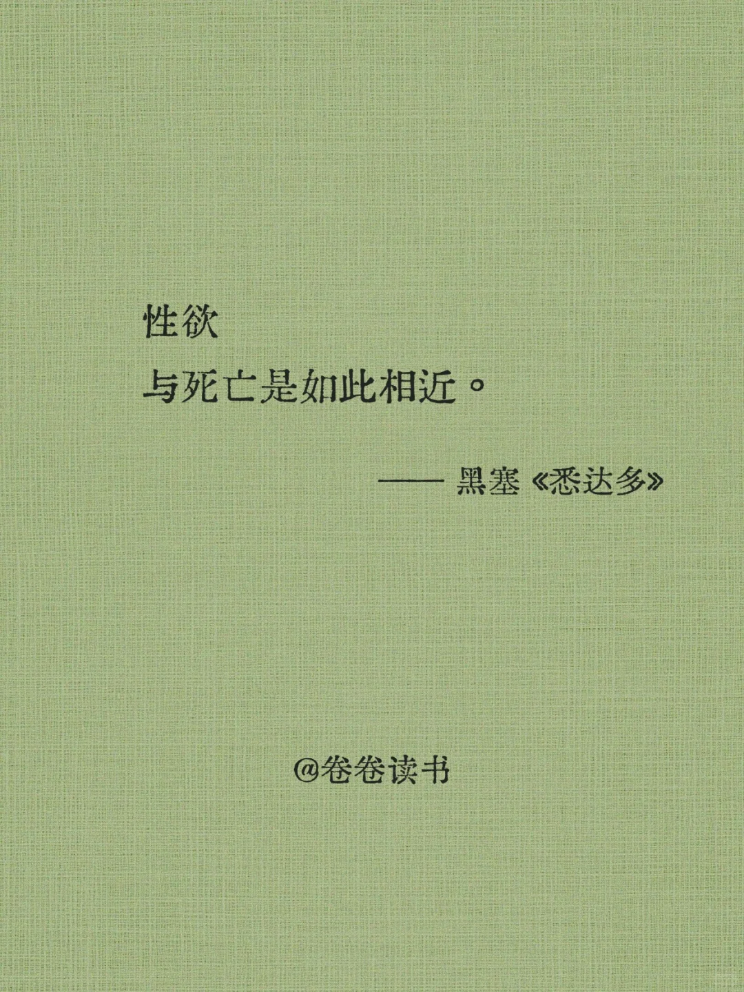 📖《悉达多》| 一场跨越千年的灵性朝圣。