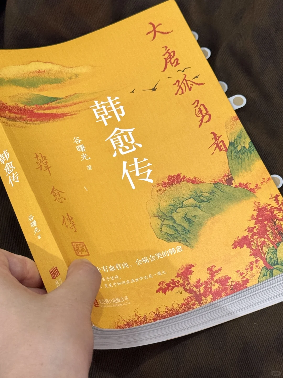 几乎是震撼着读完的历史书！太太精彩了！