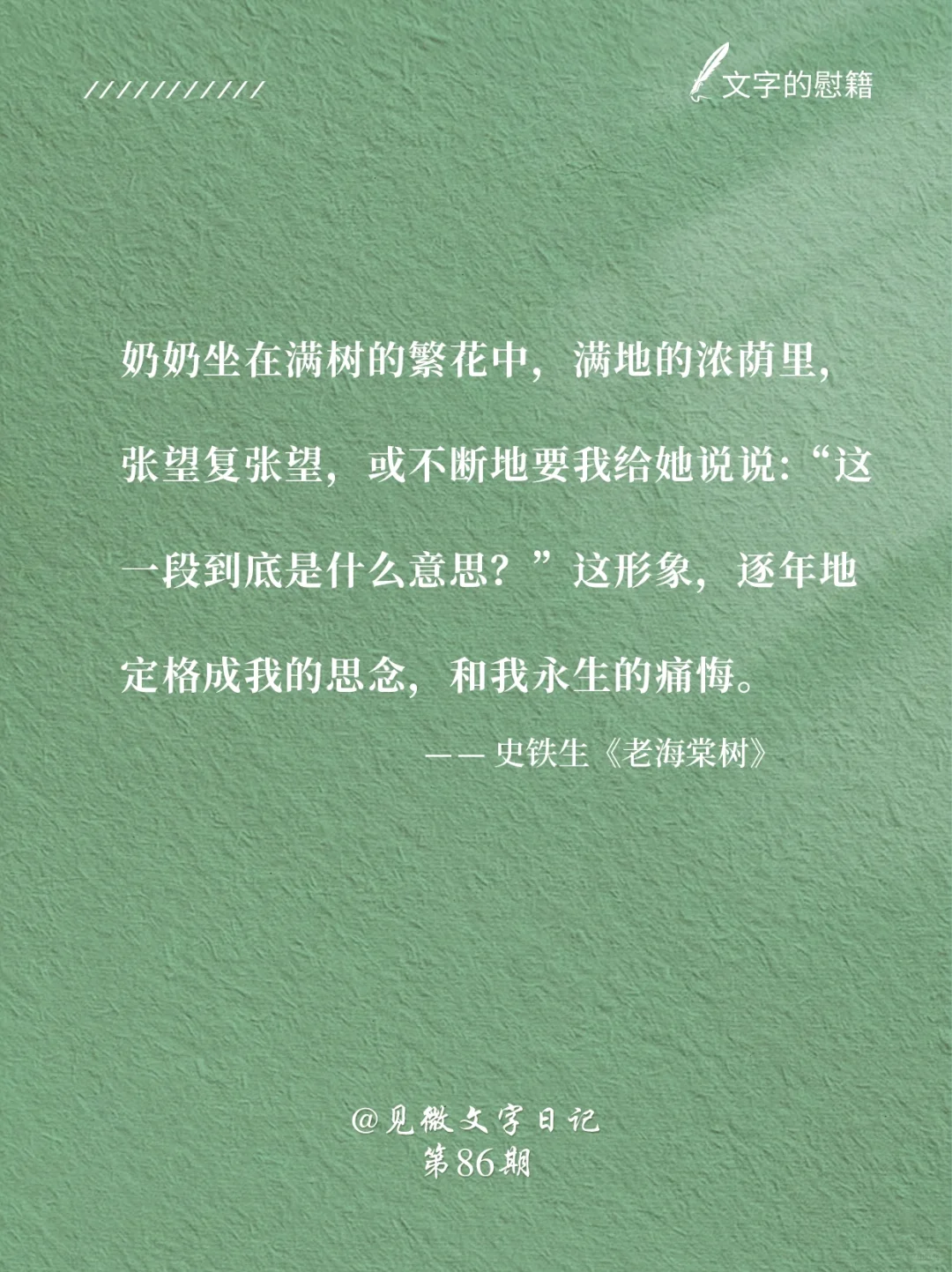 《老海棠树》｜还记得史铁生这篇小学课文吗❓