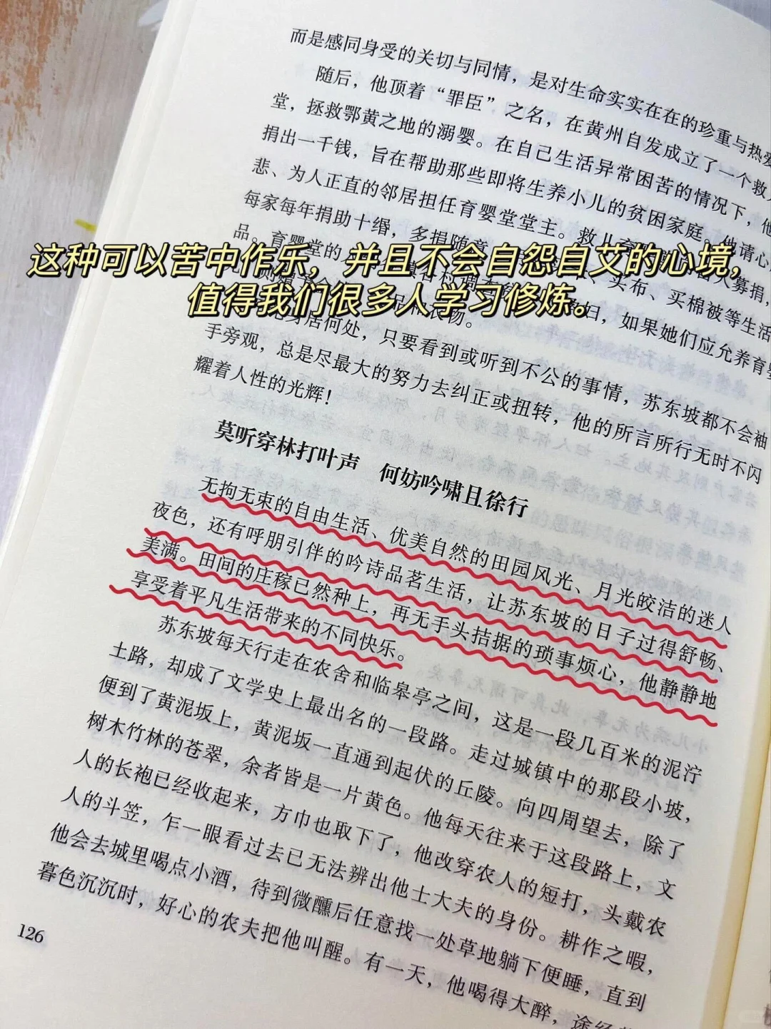 《苏东坡传——一蓑烟雨任平生》