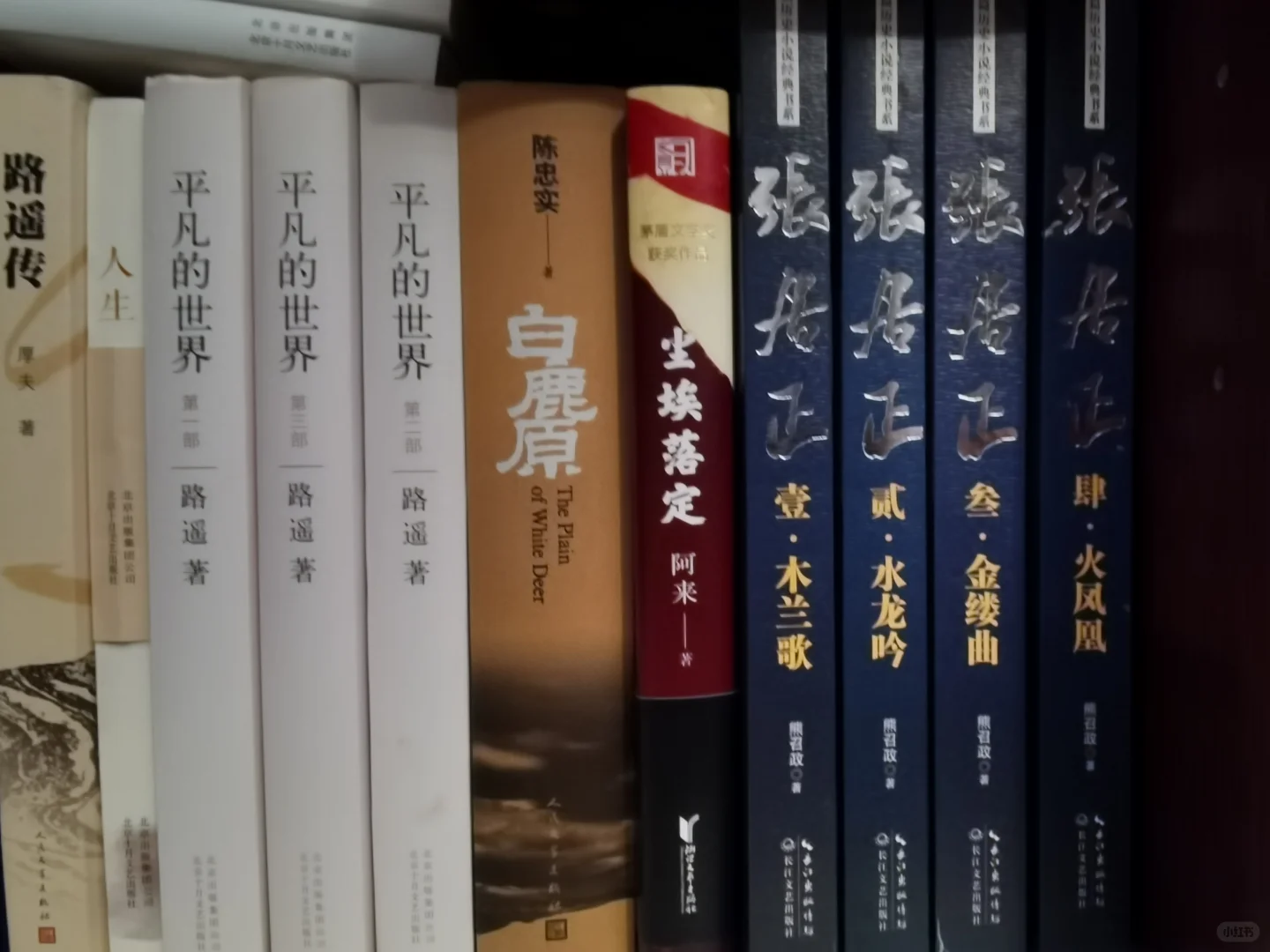 强烈推荐给真书虫！我喜欢的茅奖作品