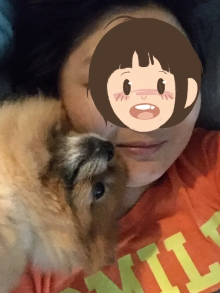 美好岁月