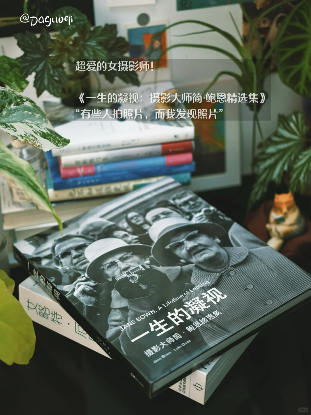 新书书单｜买到绝版摄影集啦！！