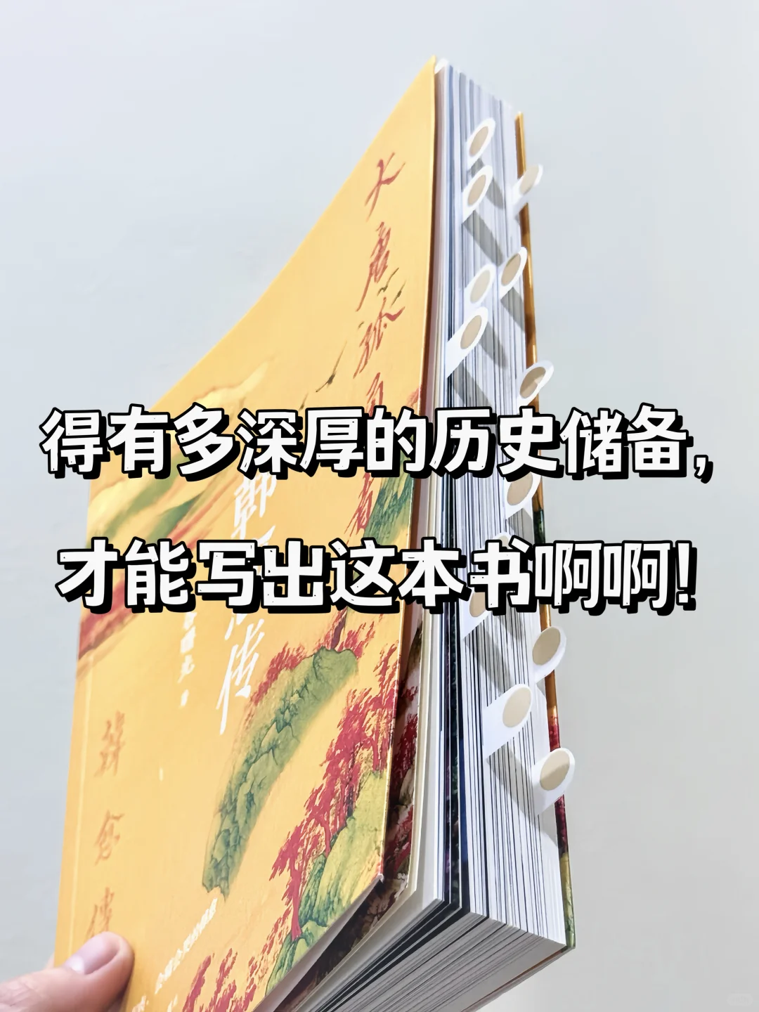 几乎是震撼着读完的历史书！太太精彩了！
