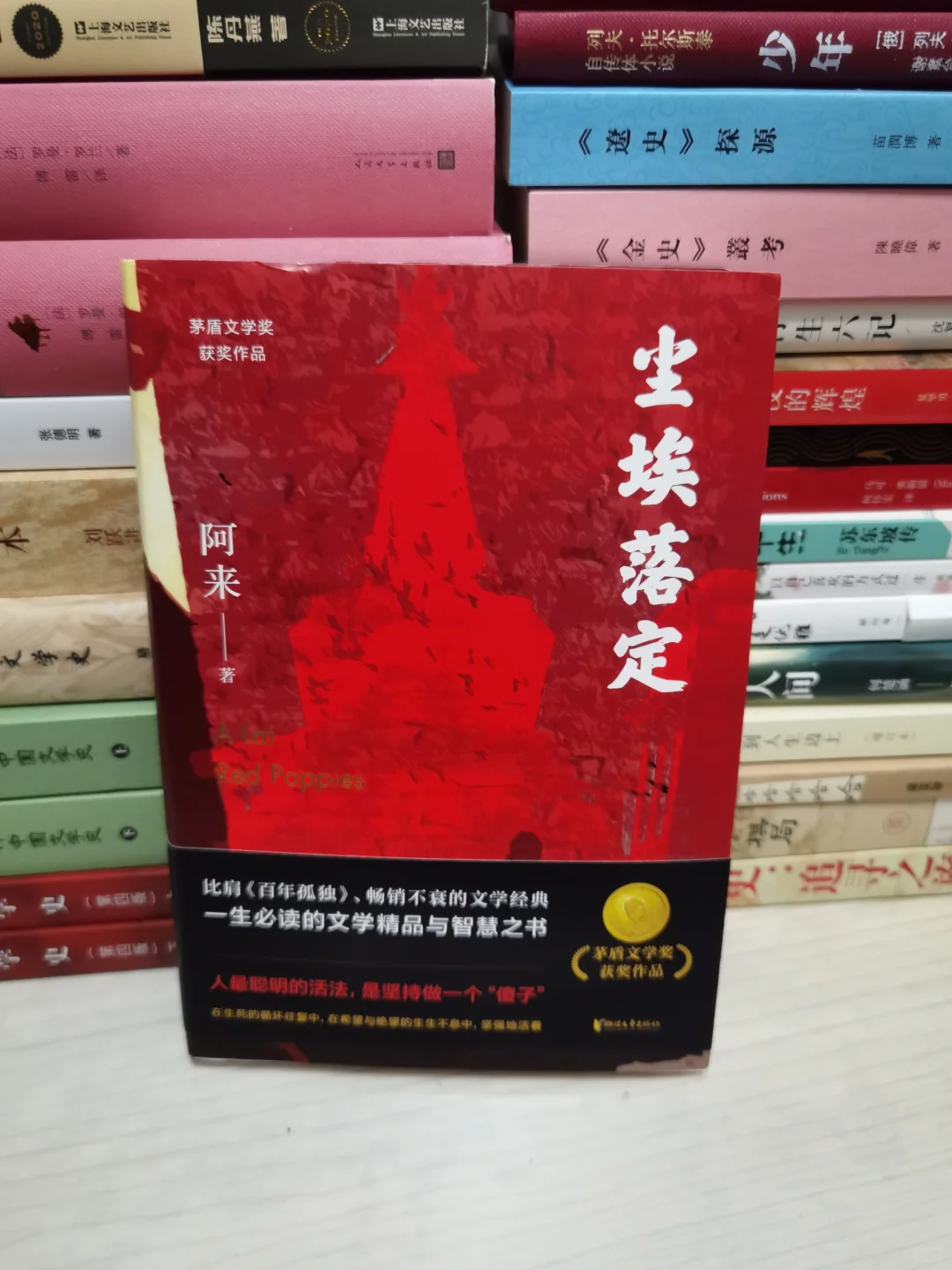 强烈推荐给真书虫！我喜欢的茅奖作品