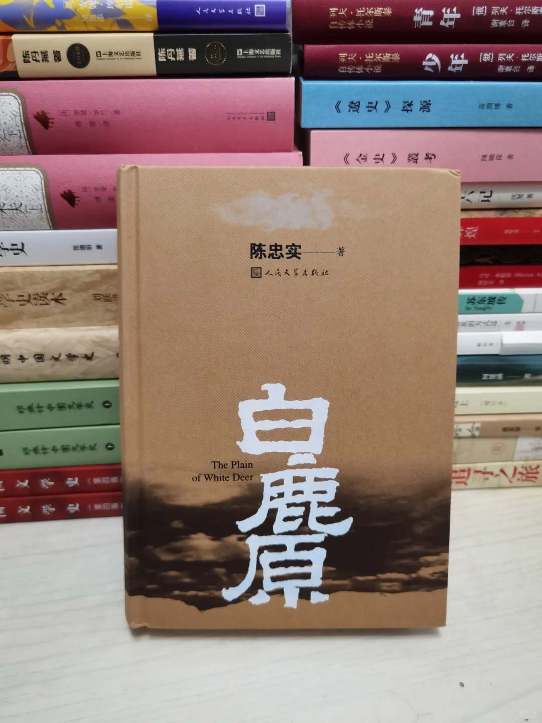 强烈推荐给真书虫！我喜欢的茅奖作品