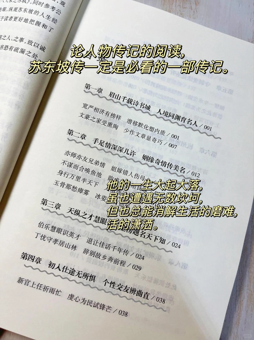 《苏东坡传——一蓑烟雨任平生》
