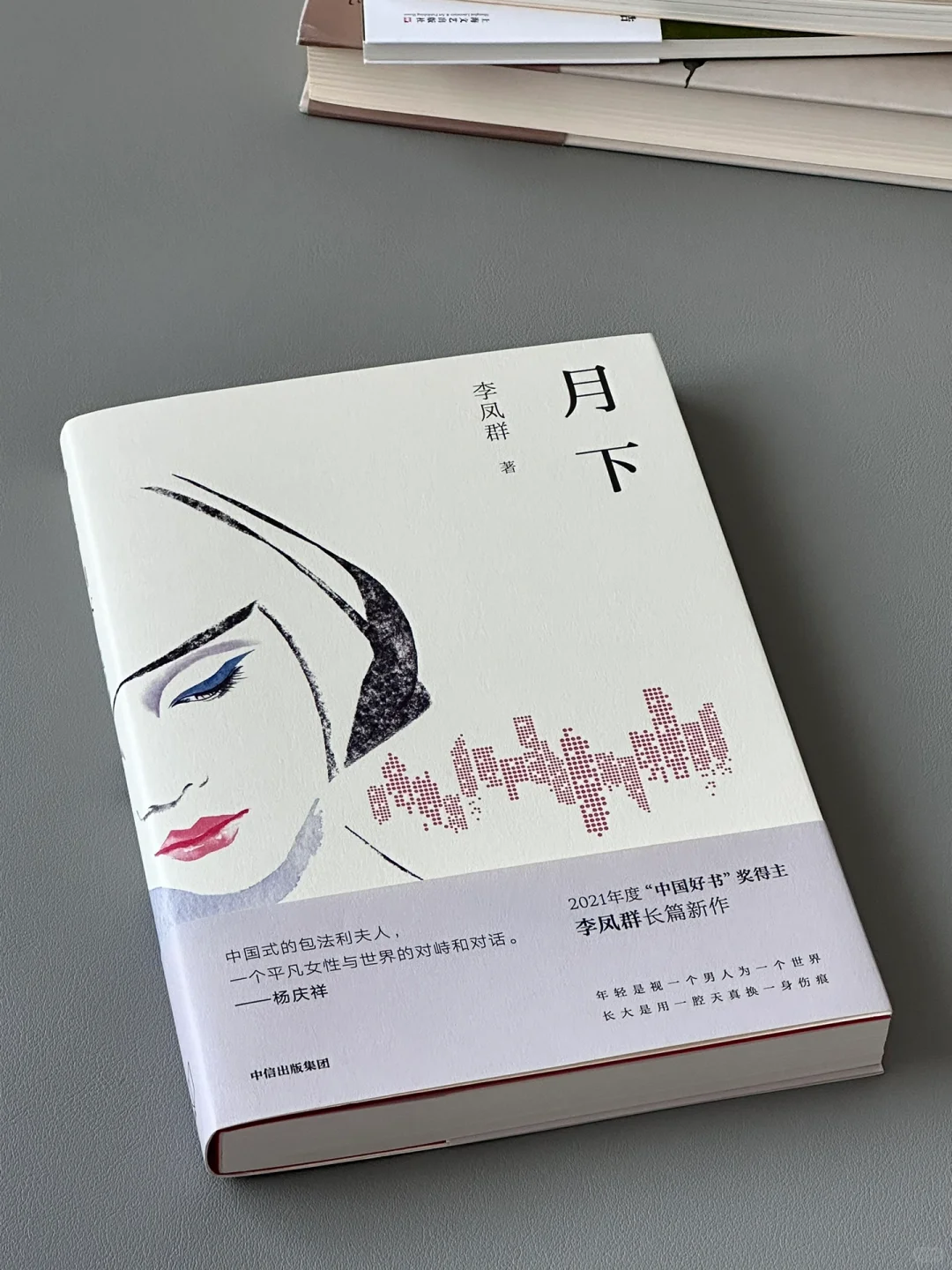 笔力深厚！今年读到的又一本五星文学小说！