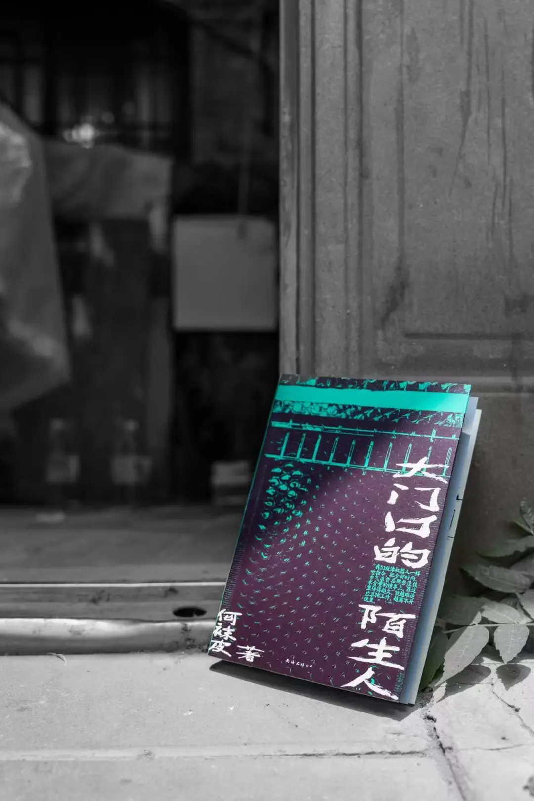 “没药花园”新书❗深入保安群体
