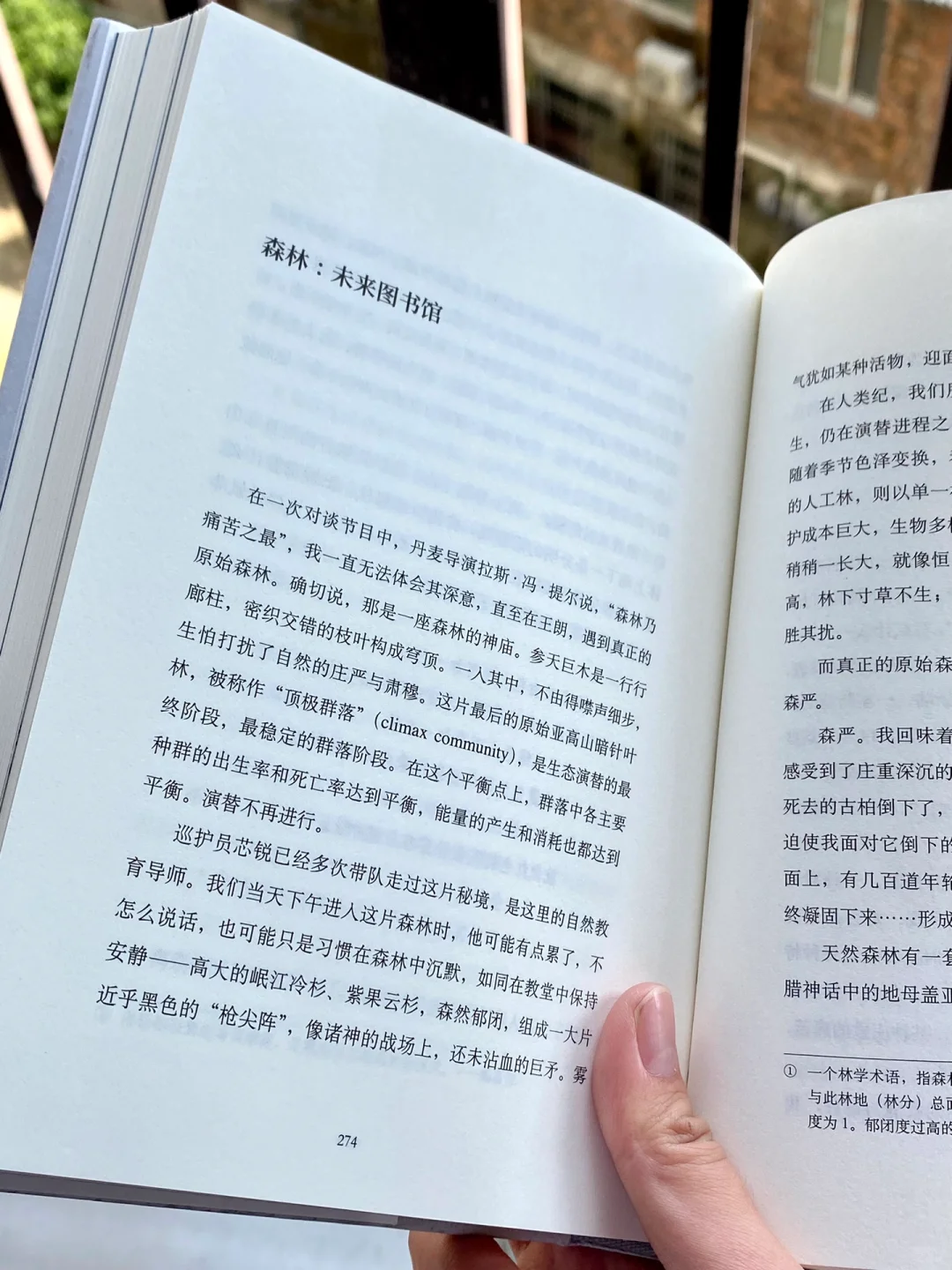 七堇年新书！一场走向群山也走进内心的壮游