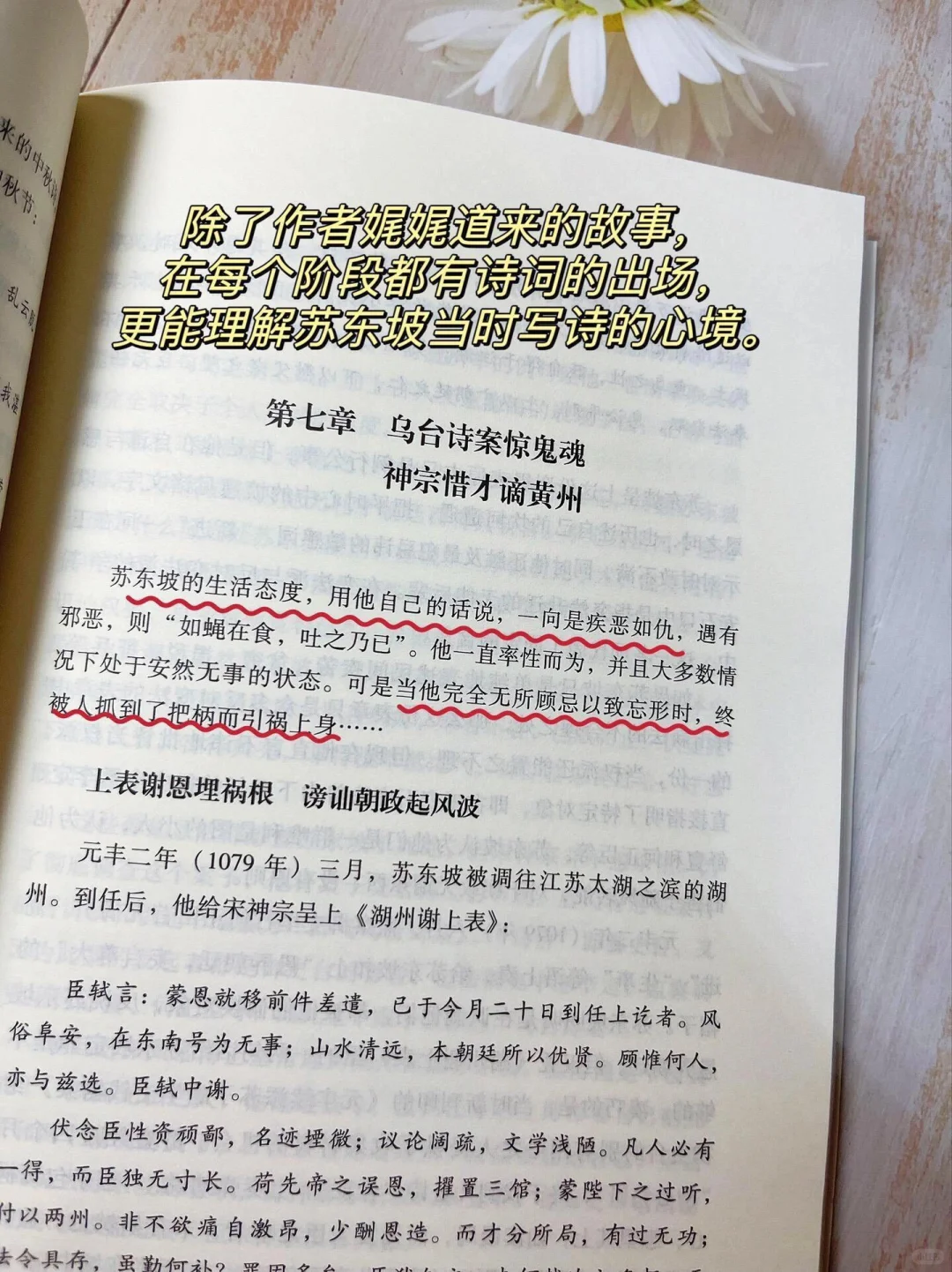 《苏东坡传——一蓑烟雨任平生》