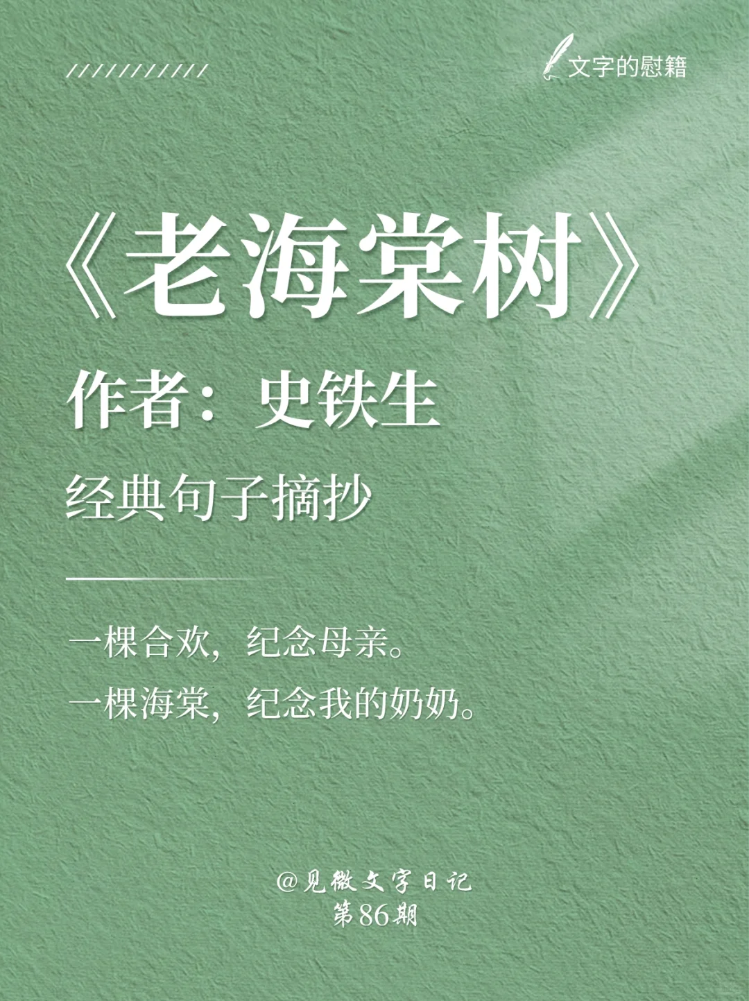 《老海棠树》｜还记得史铁生这篇小学课文吗❓