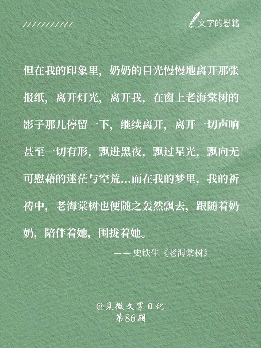 《老海棠树》｜还记得史铁生这篇小学课文吗❓