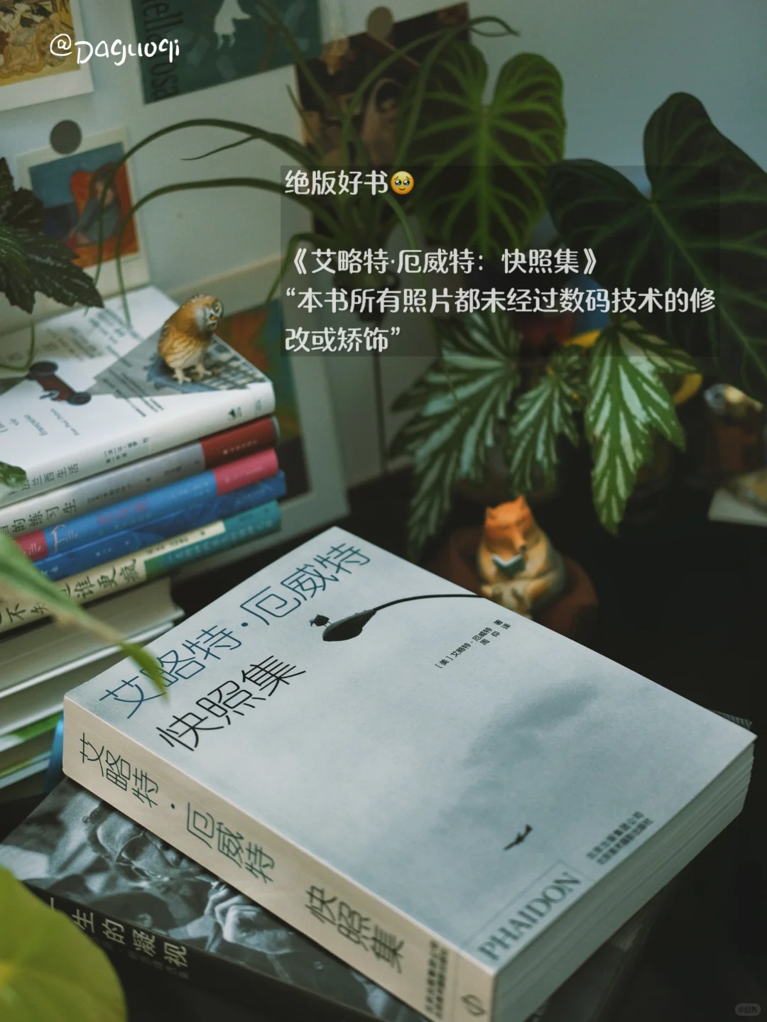新书书单｜买到绝版摄影集啦！！