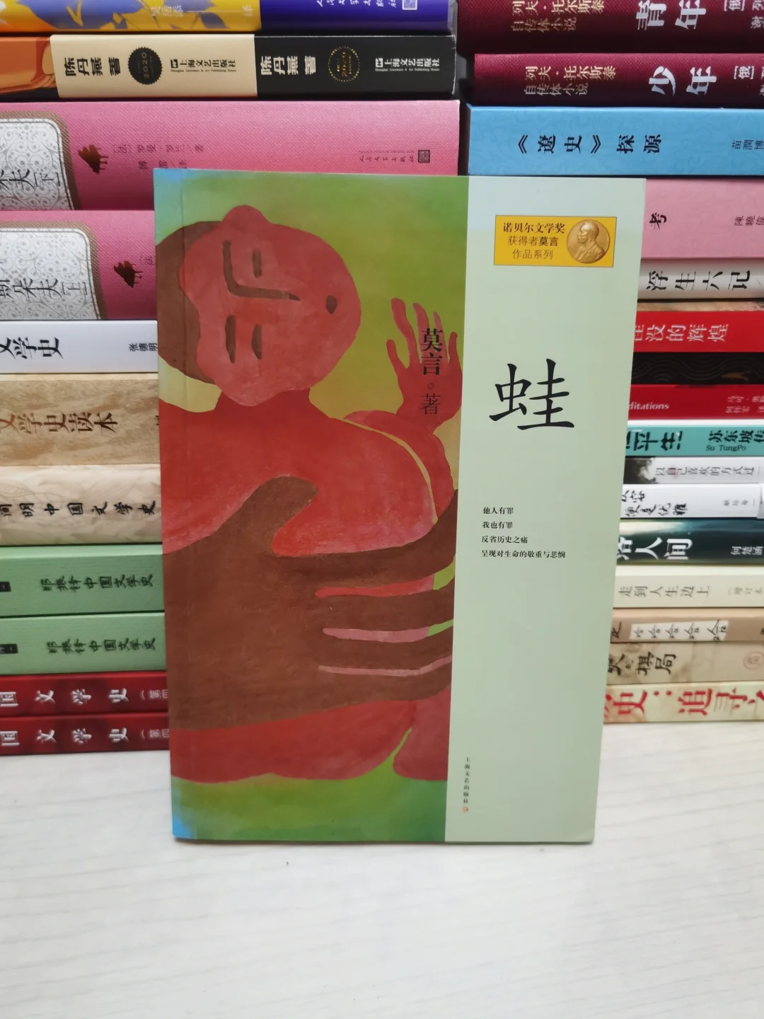 强烈推荐给真书虫！我喜欢的茅奖作品