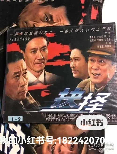 第五届茅盾文学奖获奖作品《抉择》读后感一