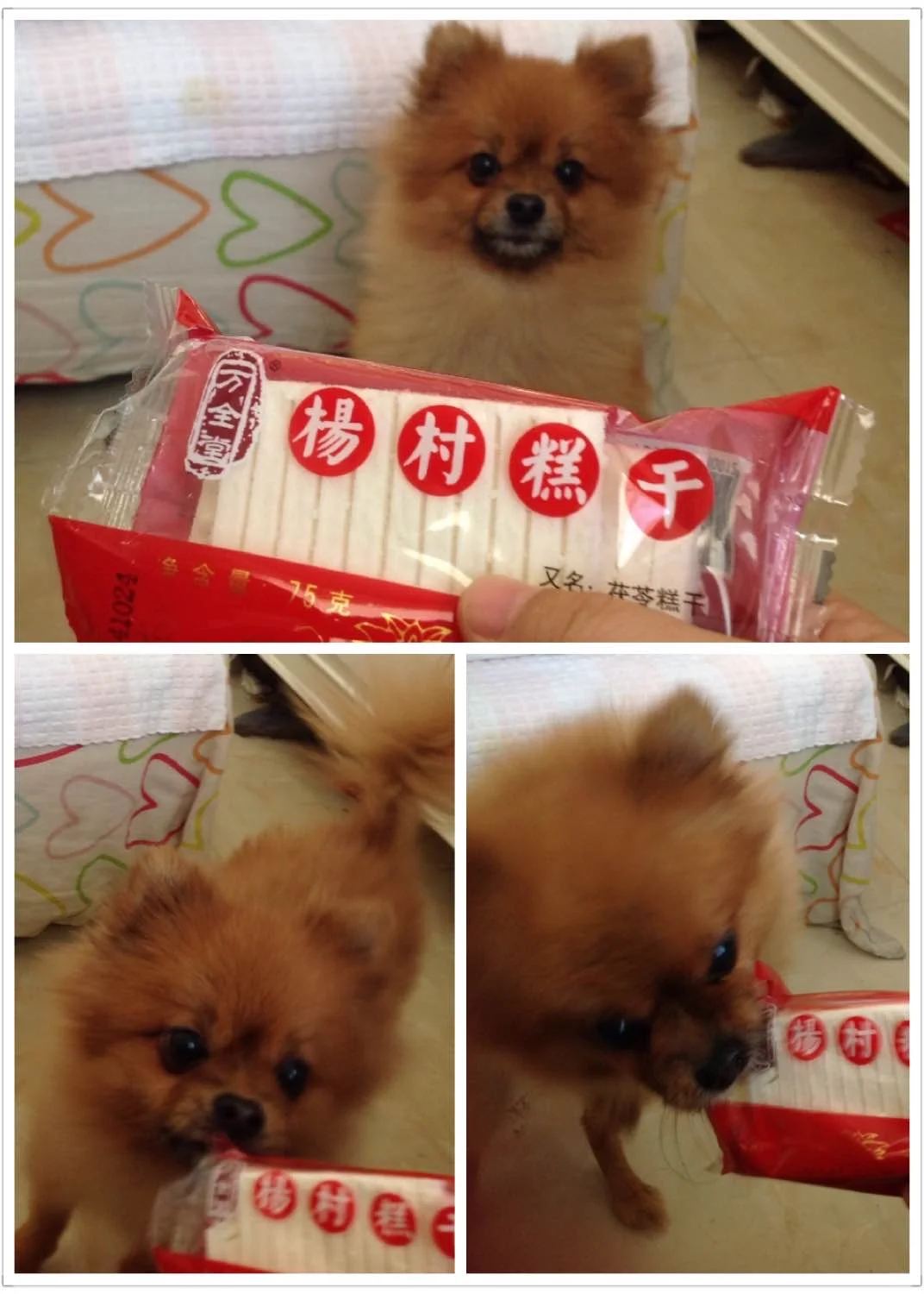 美好岁月