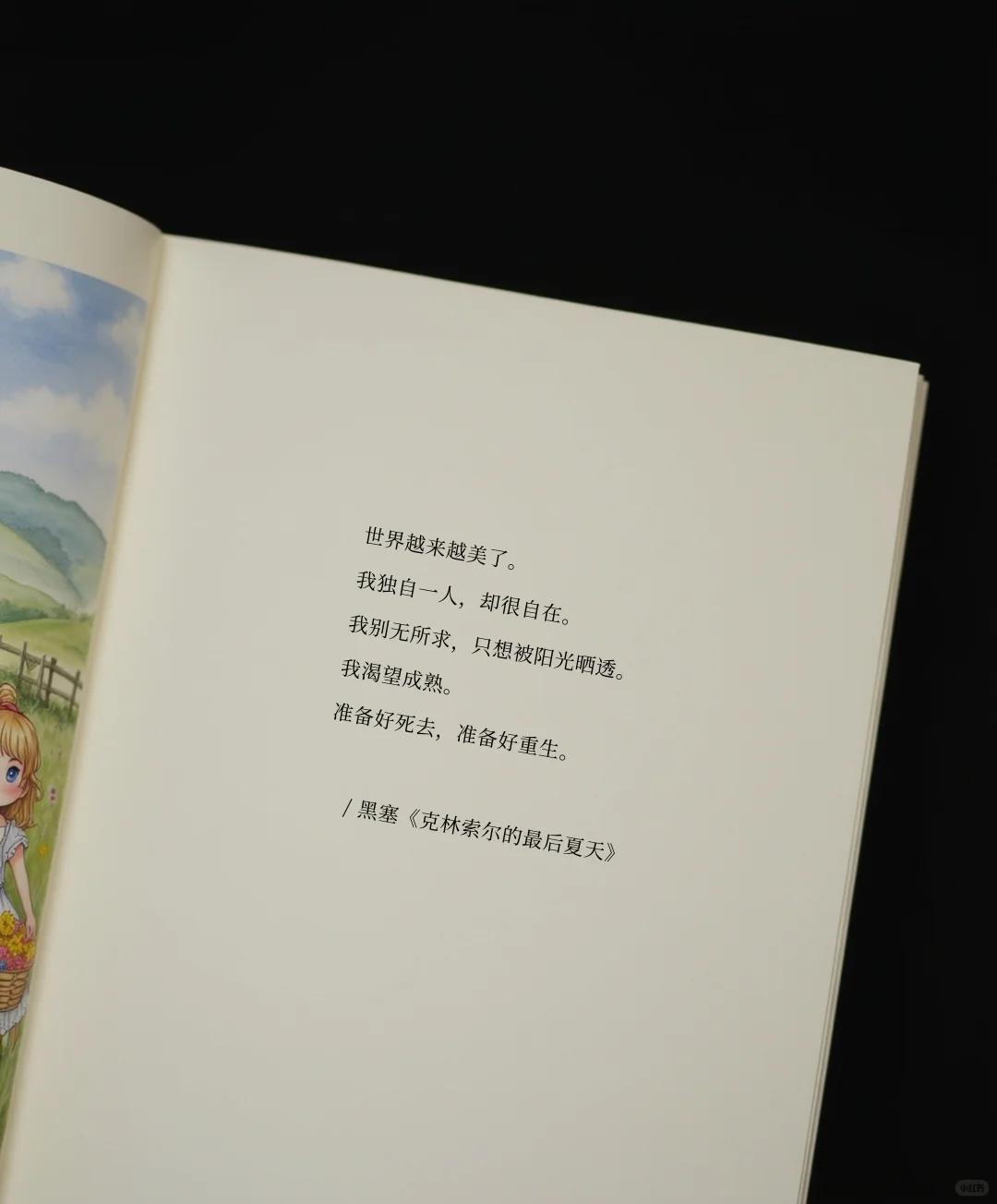 穷尽一生也写不出的顶级文笔