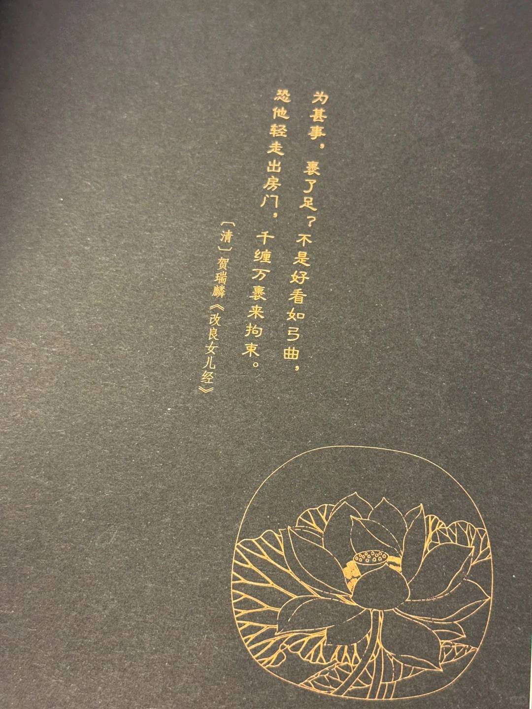 近期超级想推荐的一本再版好书！
