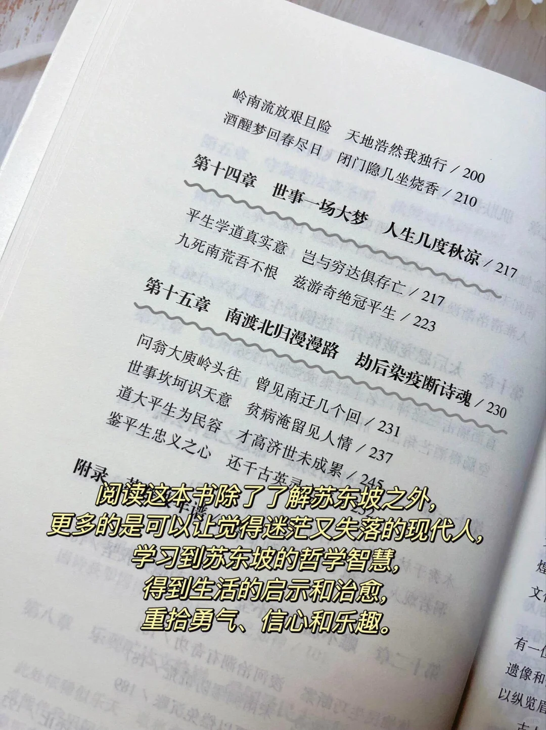 《苏东坡传——一蓑烟雨任平生》
