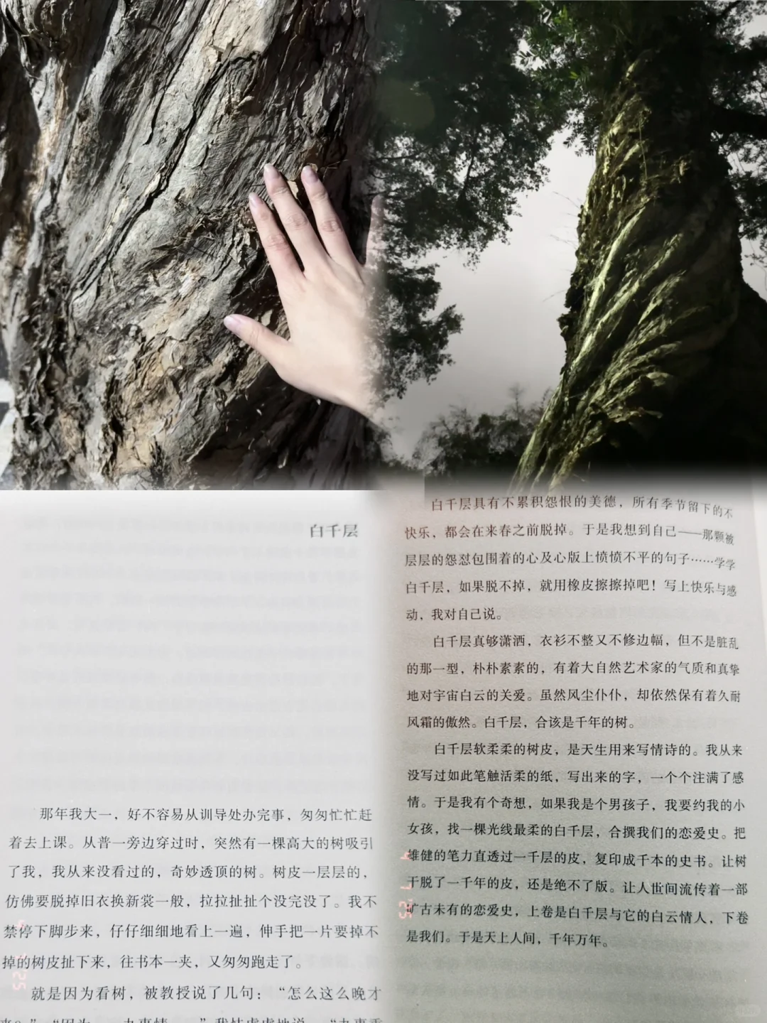 这是一条文艺同好交友贴❕