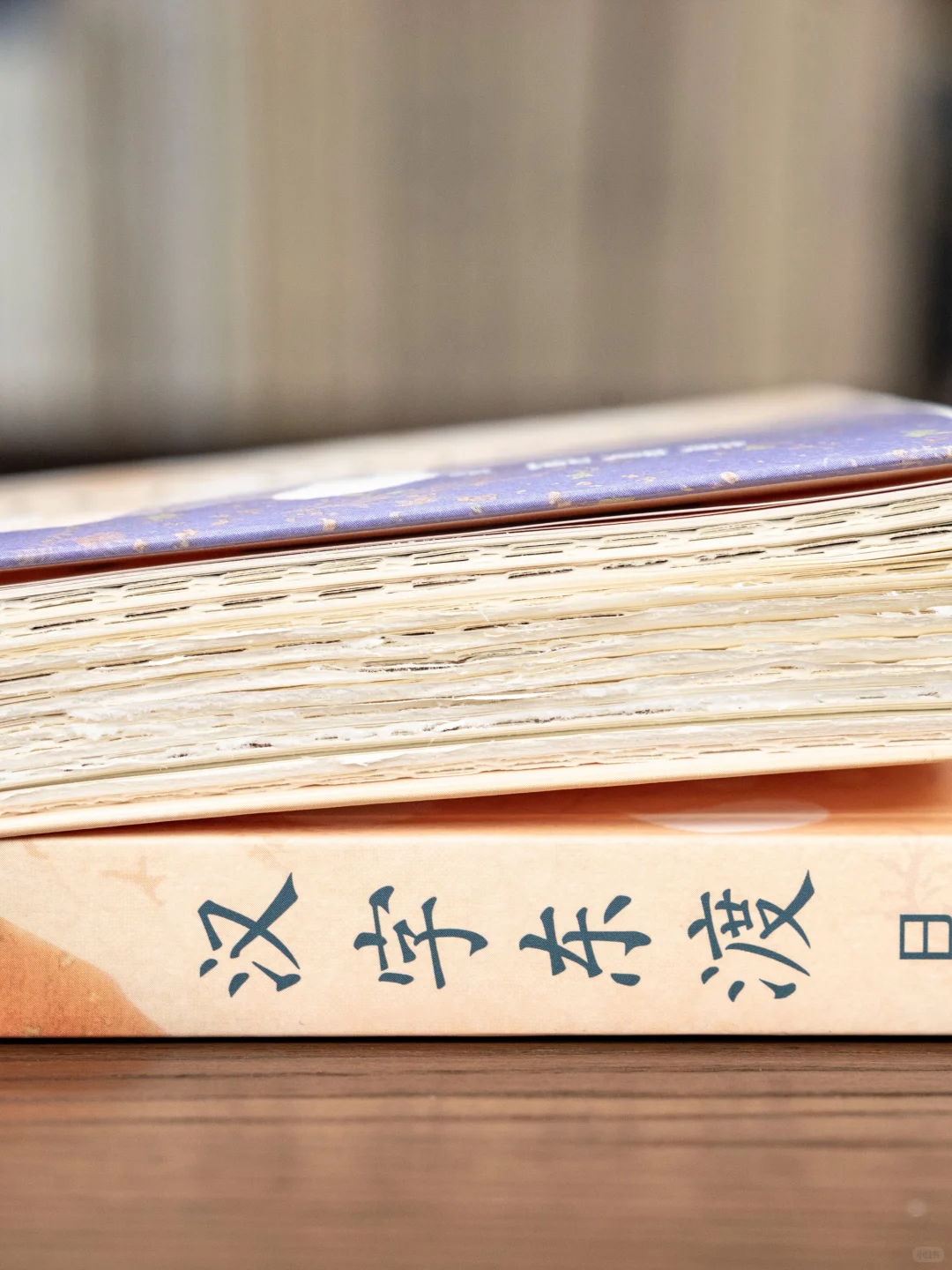 新书推荐《汉字东渡》