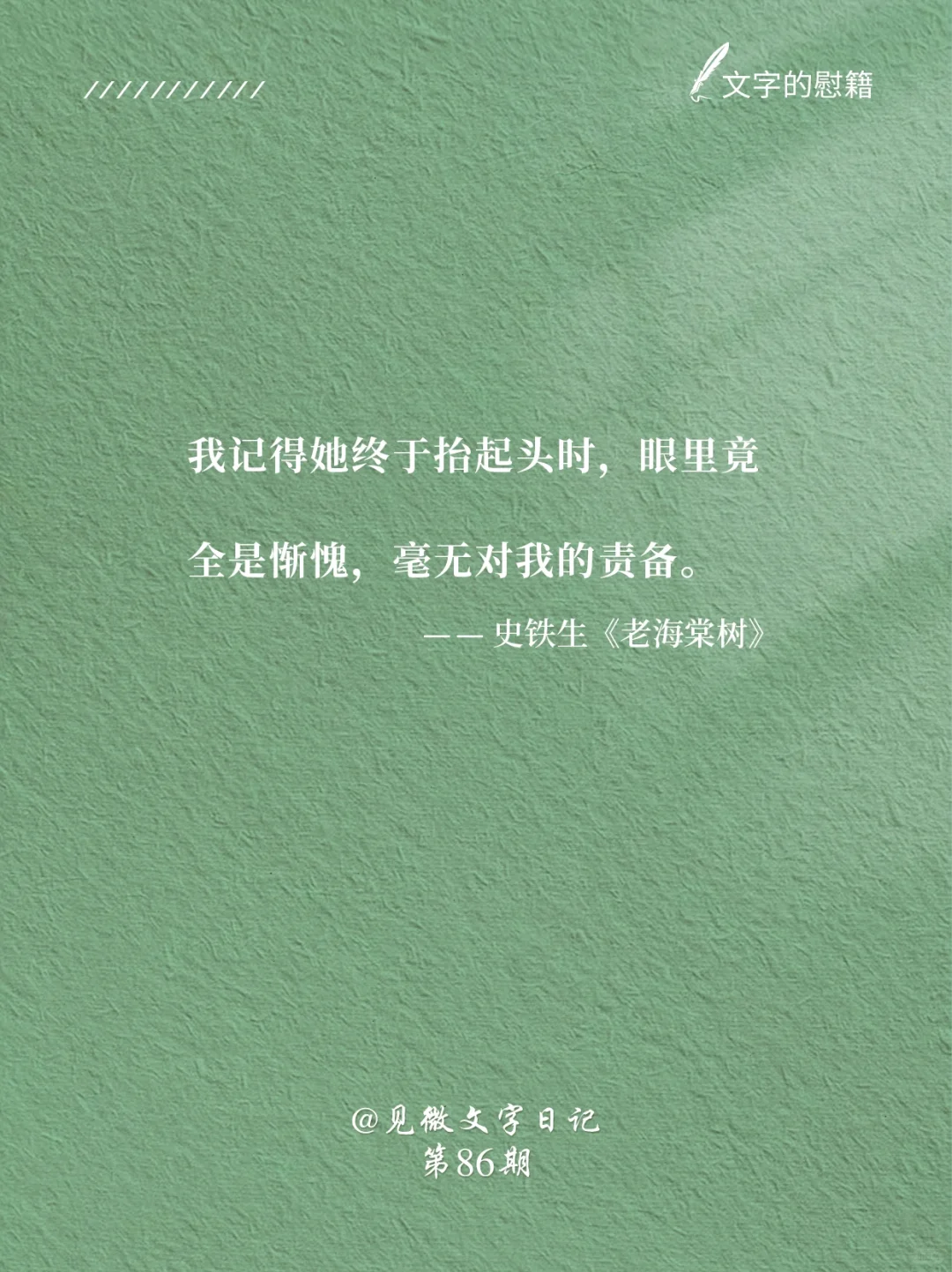 《老海棠树》｜还记得史铁生这篇小学课文吗❓