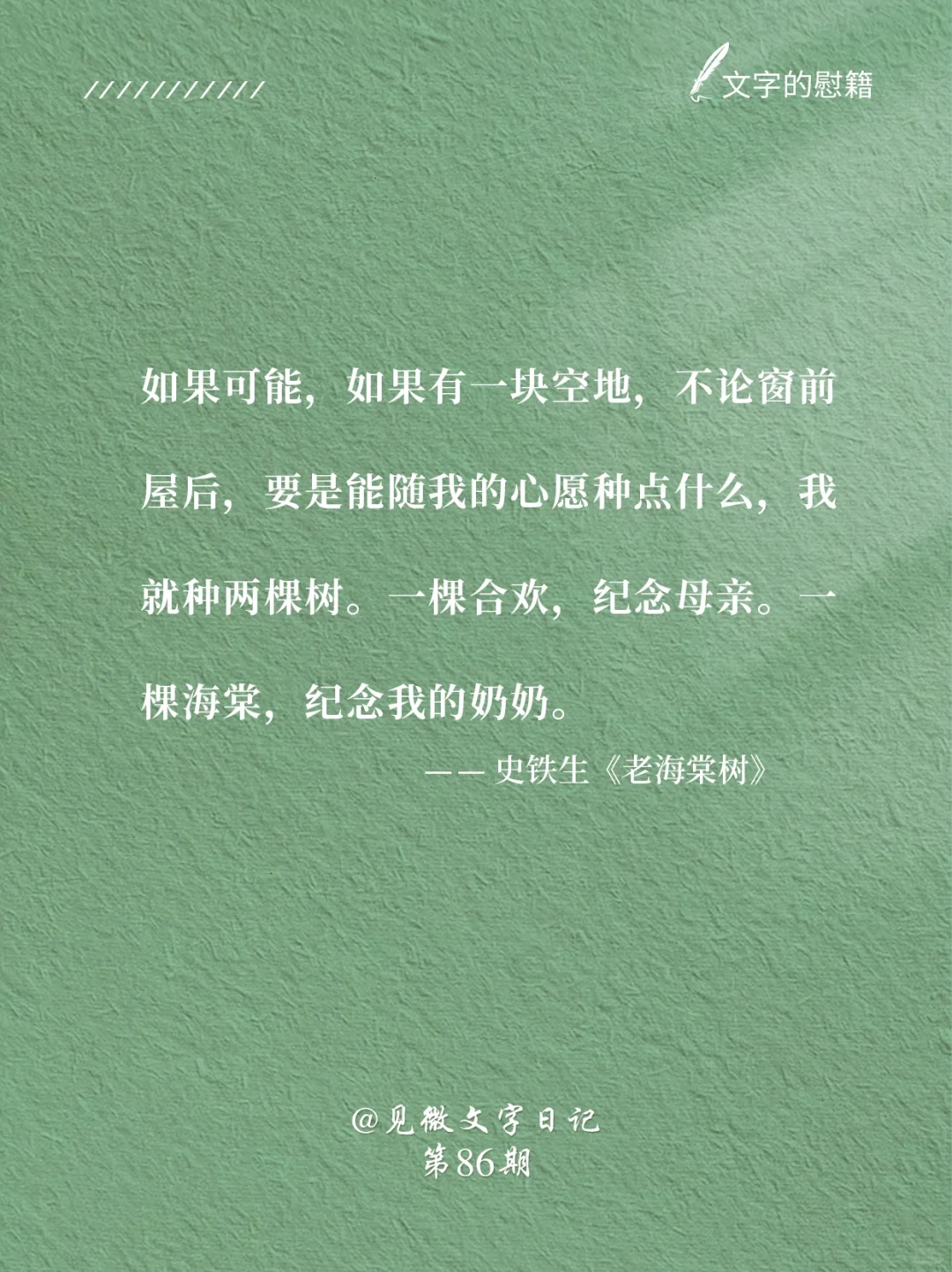 《老海棠树》｜还记得史铁生这篇小学课文吗❓