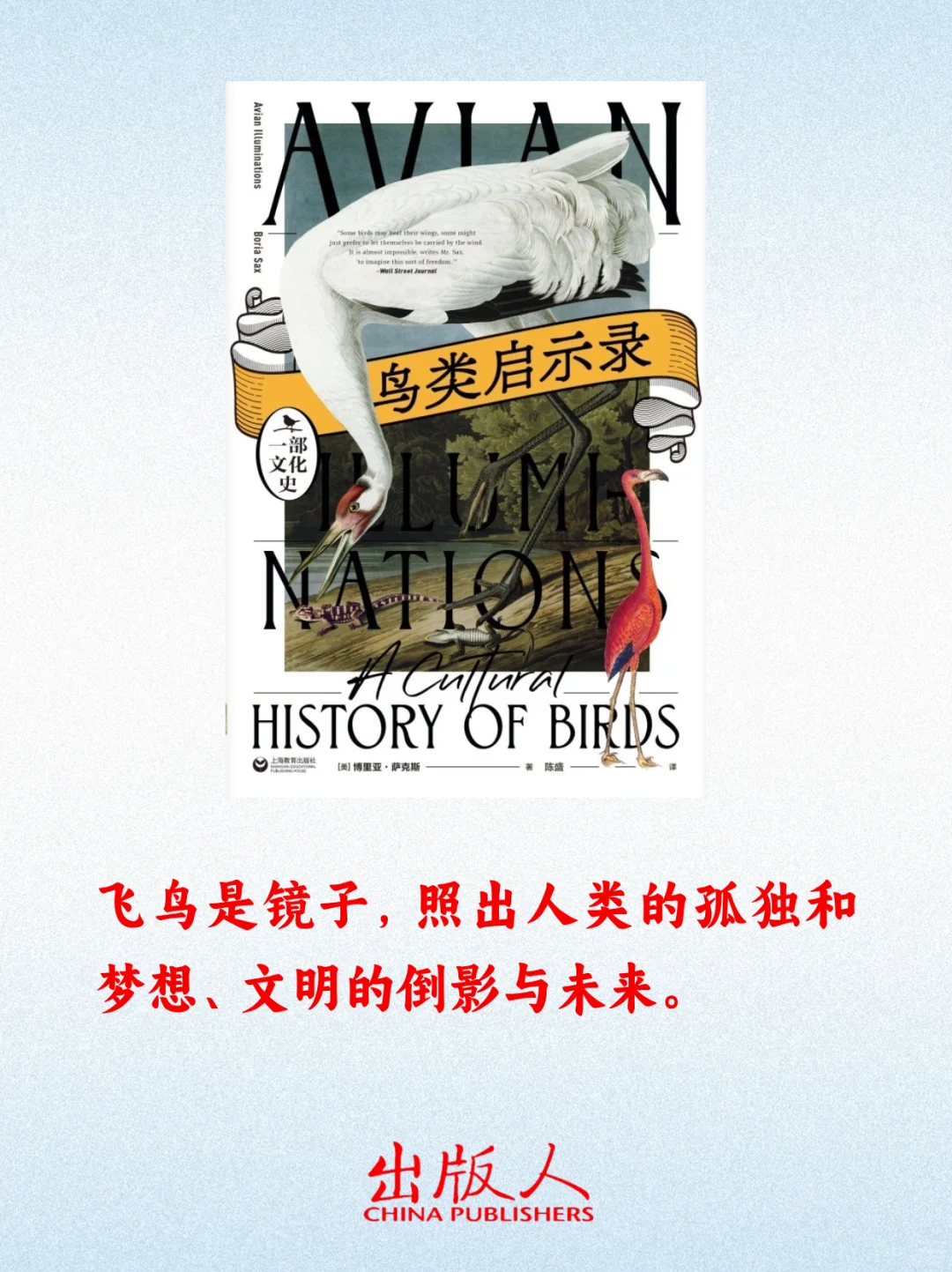 本周强推的16本新书！喜欢哪些？