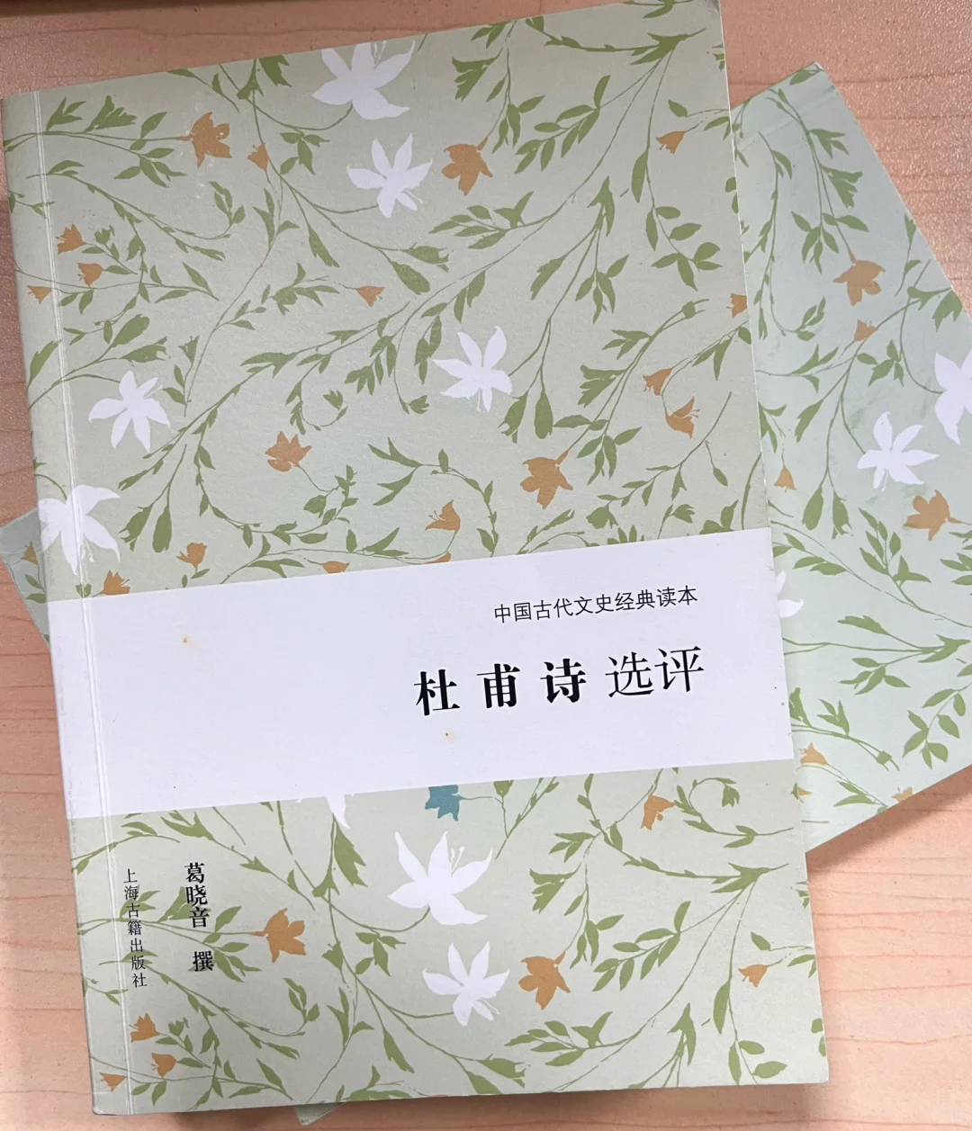 我眼中最好的一套古典文学入门书籍