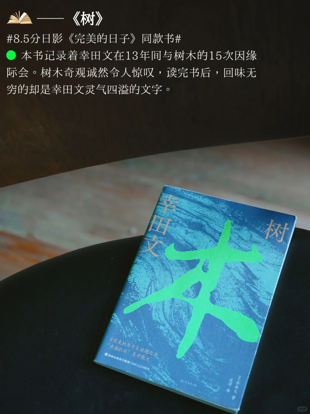 7万粉丝成就达成🎁 “书是最好的礼物。”