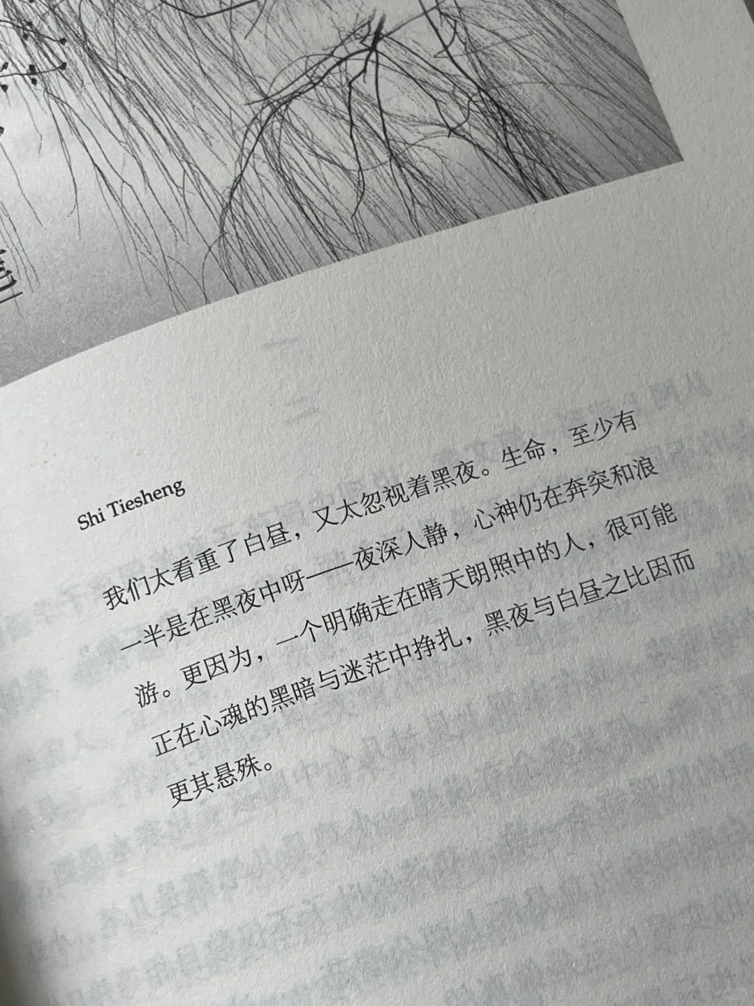 史铁生的顶级文笔‼️