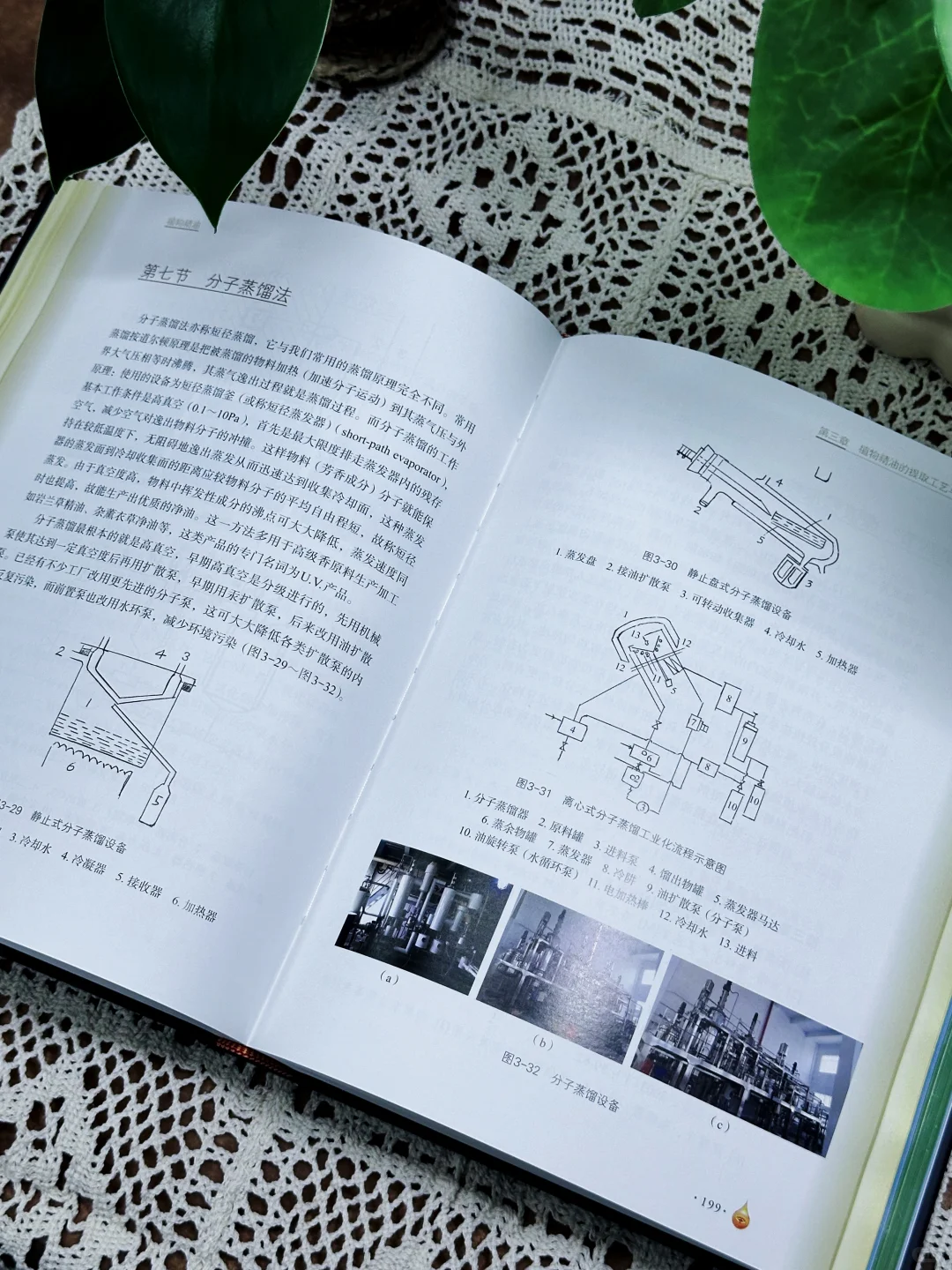 🔥新书推荐|《植物精油（中英文版）》