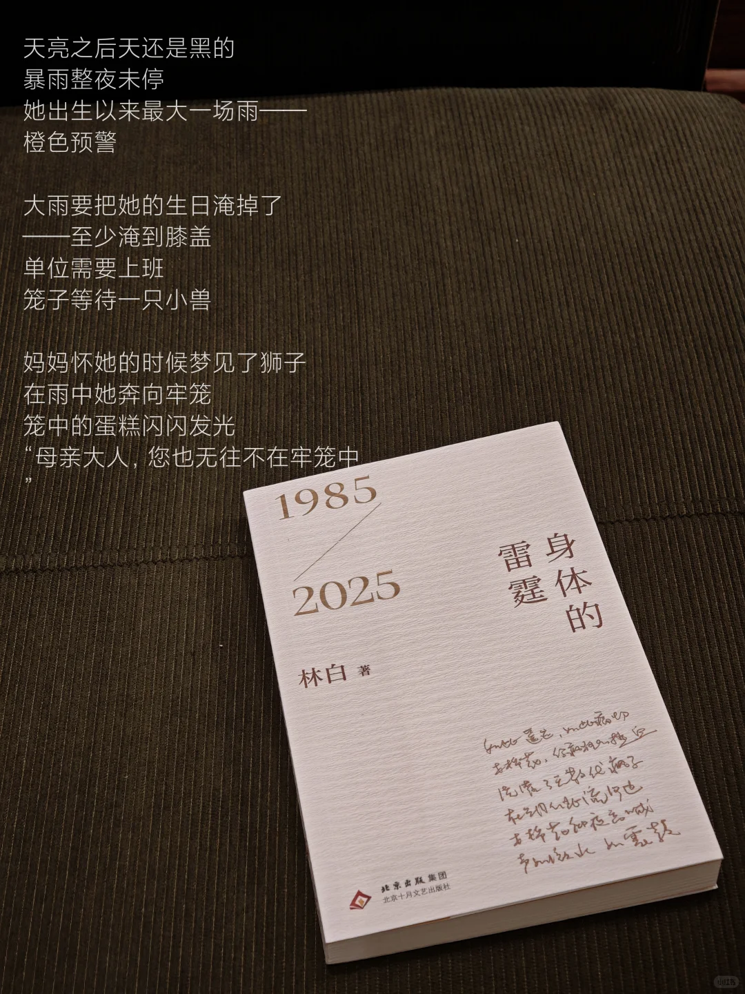 8月拆新书｜我当然会一直一直读下去