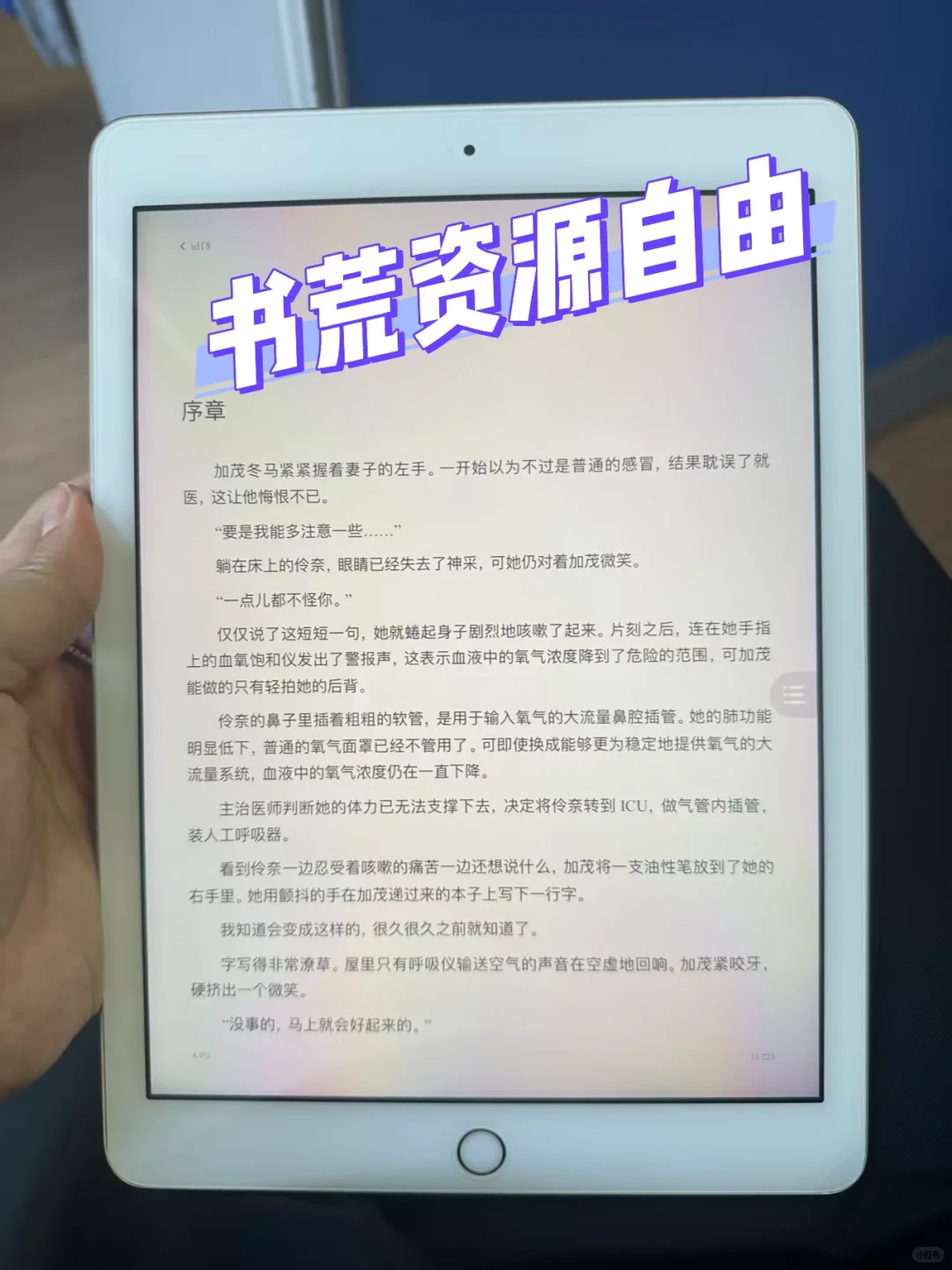 实现电子书自由后📚我的ipad一天充三次电