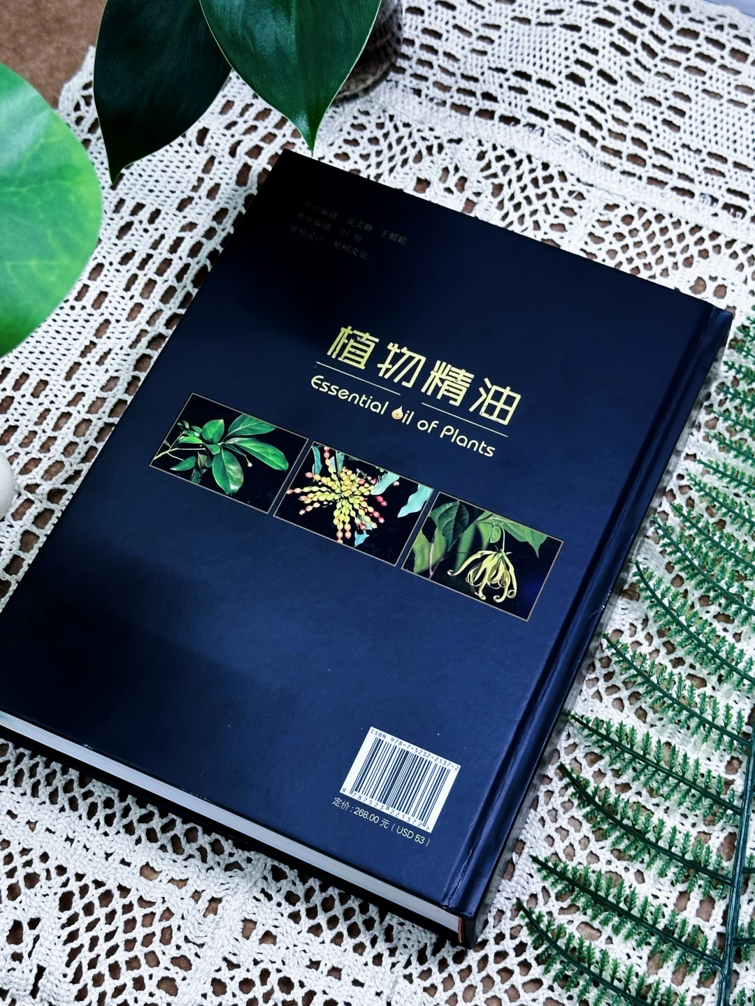 🔥新书推荐|《植物精油（中英文版）》