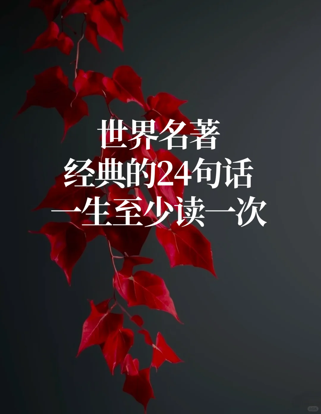 世界名著经典24句话，一生至少读一次