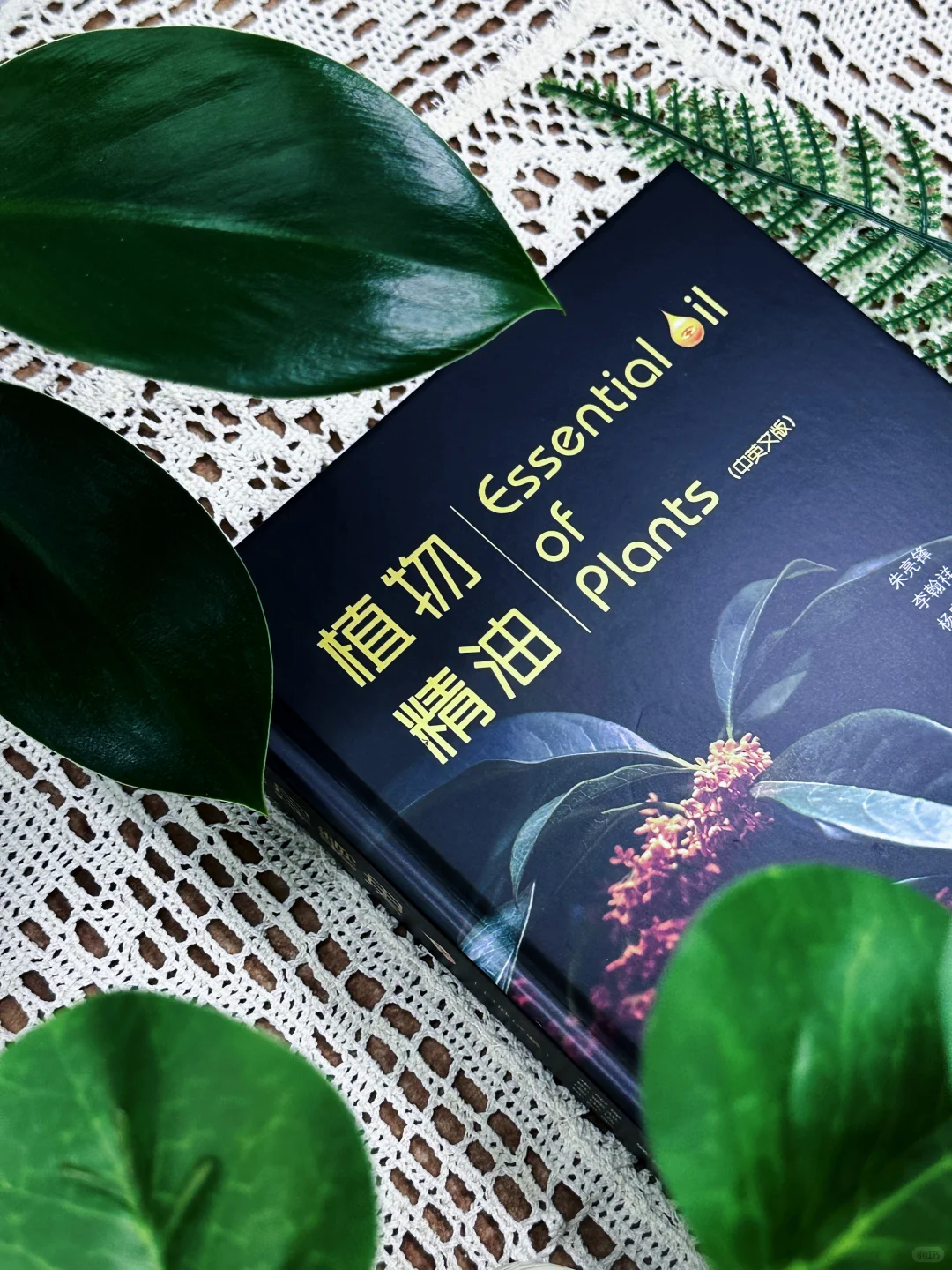 🔥新书推荐|《植物精油（中英文版）》