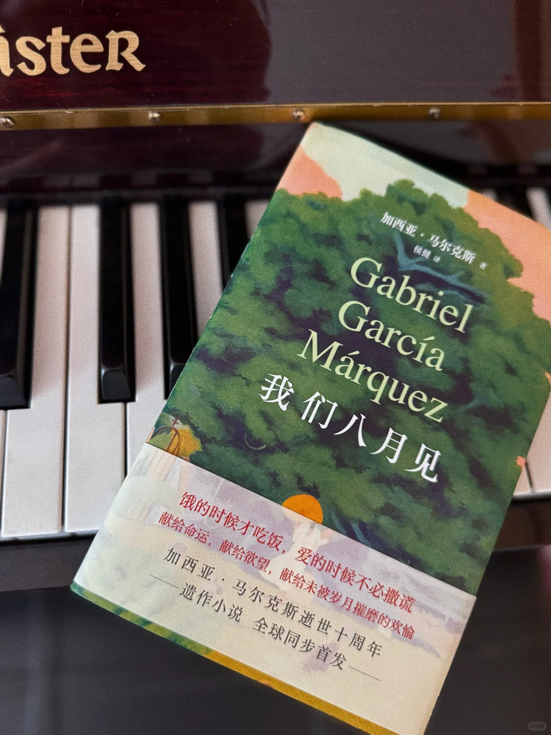 八月书单📚《我们八月见》