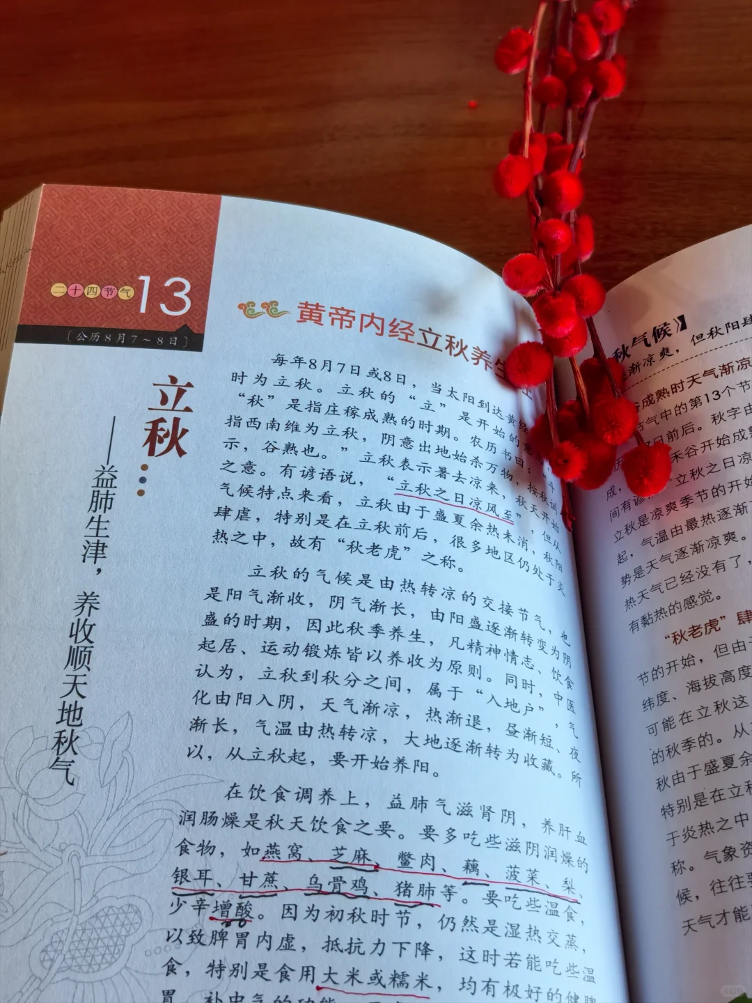 新人读书博主D3天|我的私人书单