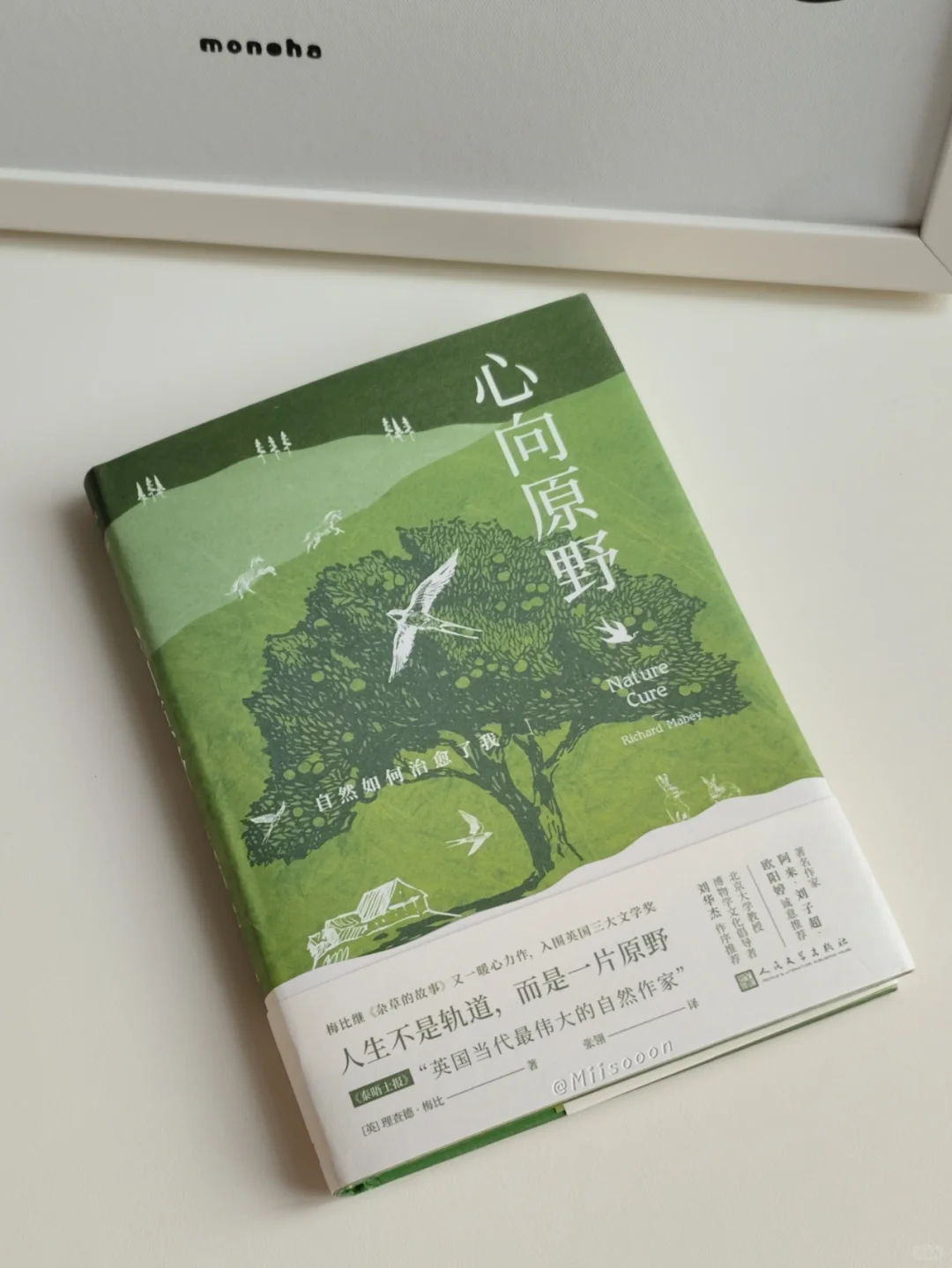 书单分享·十二月比较喜欢的几本书