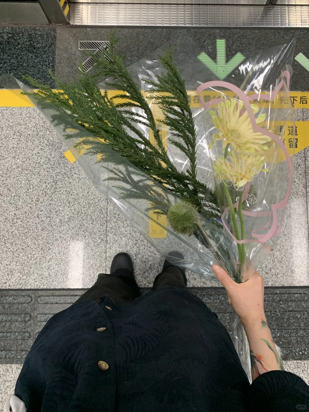 八月初地铁通勤书单|躲进书里过夏天