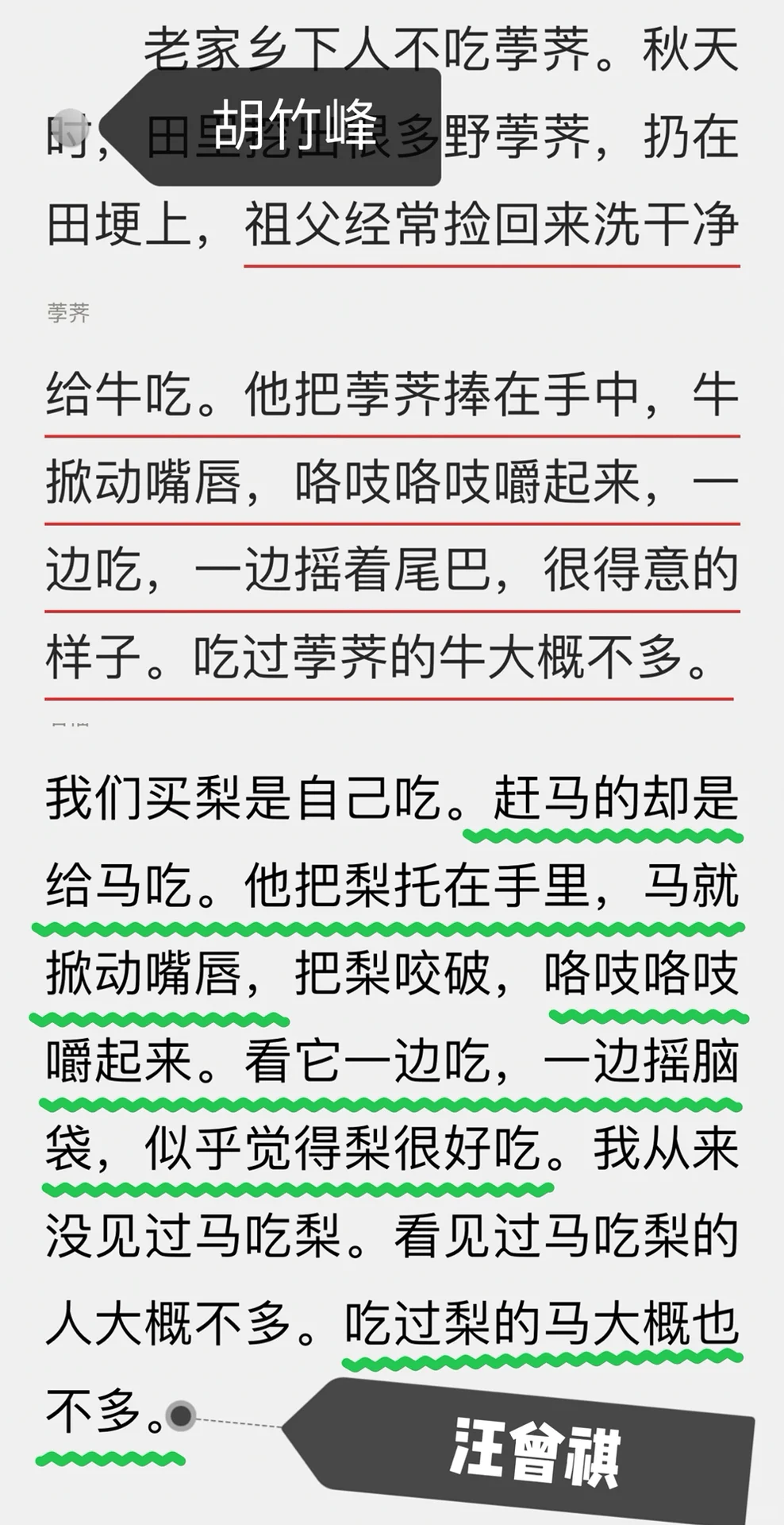 预告：我要说的下一位作家是