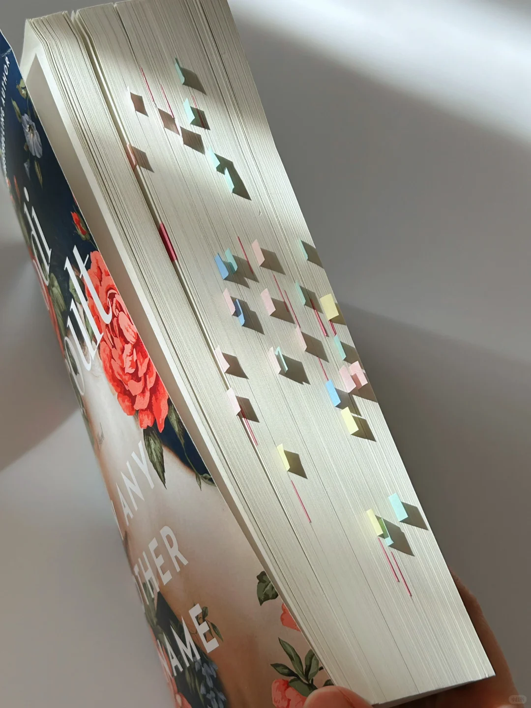 英文小说｜愿女性都能从暗中走出光亮来