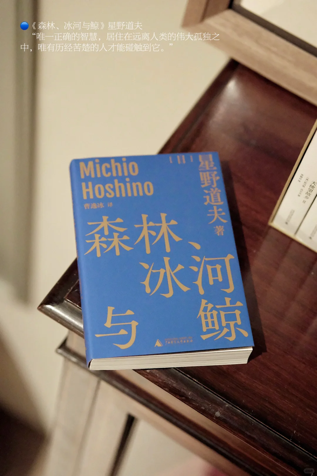 没时间读书系列｜通勤口袋书单01📖