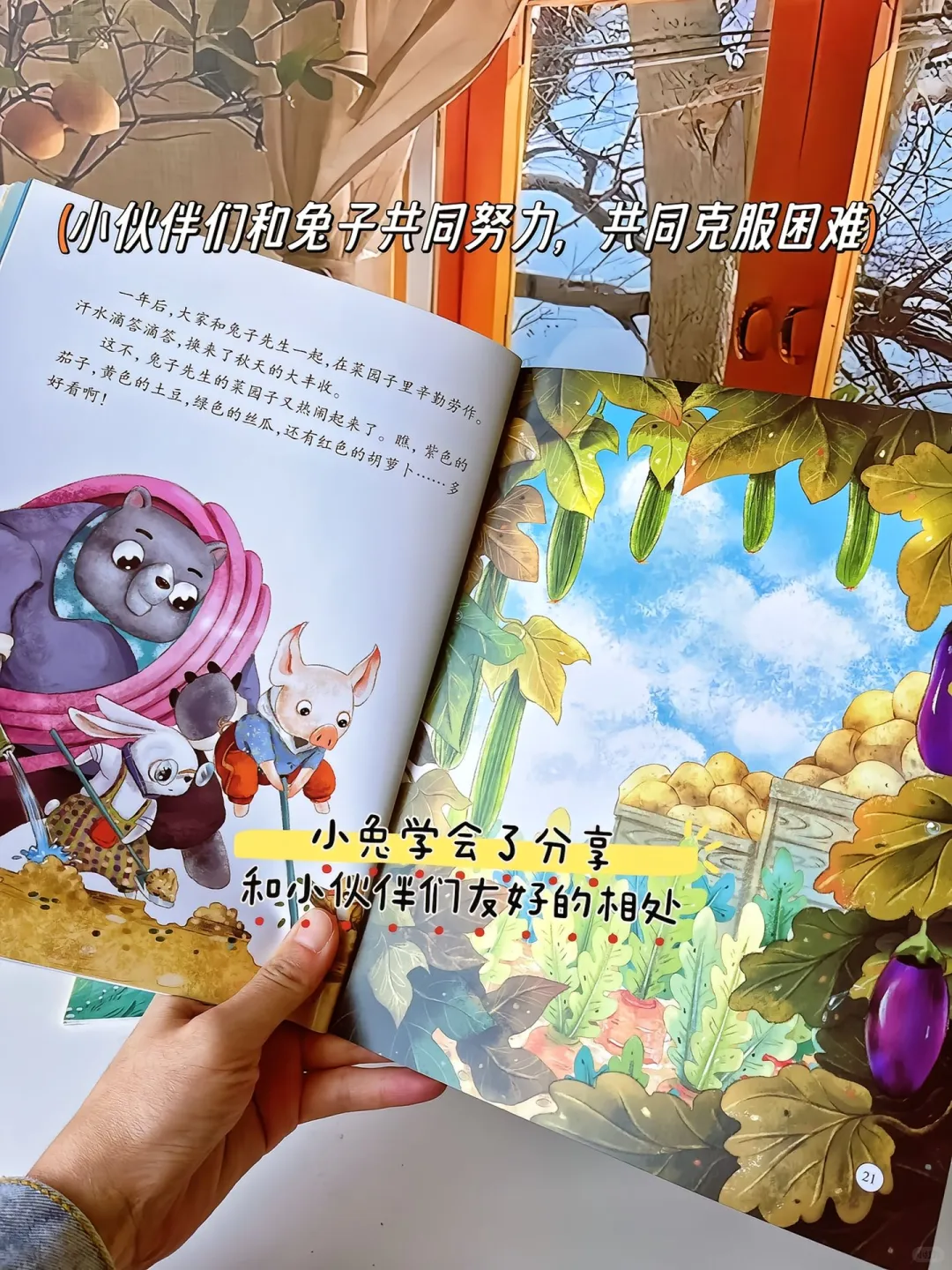 🔥🔥🔥中国作家推荐的绘本故事